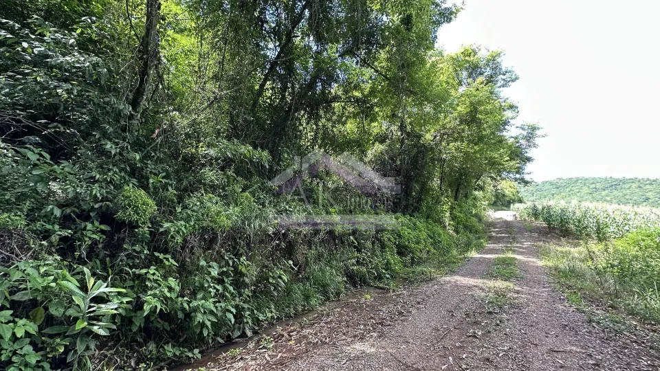 Imagens do imóveis Fazenda/Sítios/Chácaras  á venda  em Linha Olinda - Nova Petrópolis