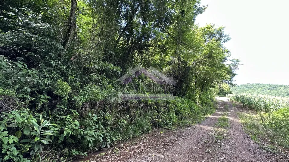 Imagens do imóveis Fazenda/Sítios/Chácaras  á venda  em Linha Olinda - Nova Petrópolis