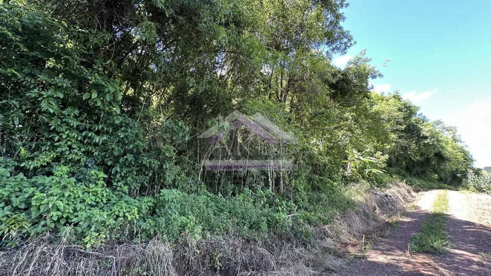 Imagens do imóveis Fazenda/Sítios/Chácaras  á venda  em Linha Olinda - Nova Petrópolis