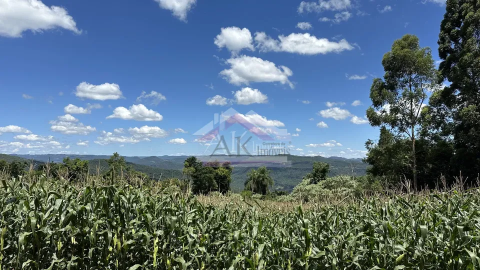 Imagens do imóveis Fazenda/Sítios/Chácaras  á venda  em Linha Olinda - Nova Petrópolis