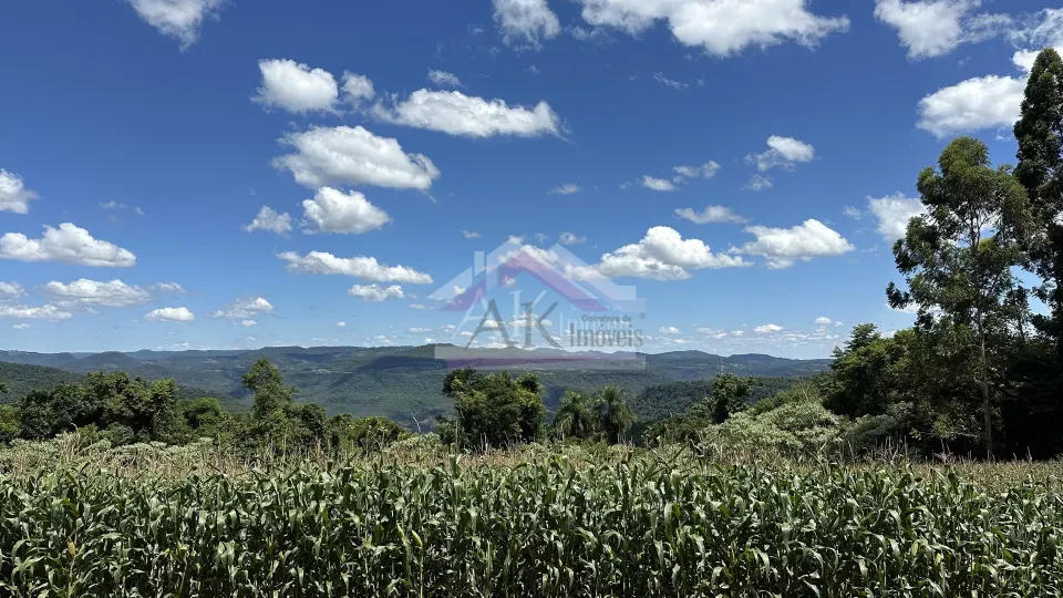 Imagens do imóveis Fazenda/Sítios/Chácaras  á venda  em Linha Olinda - Nova Petrópolis