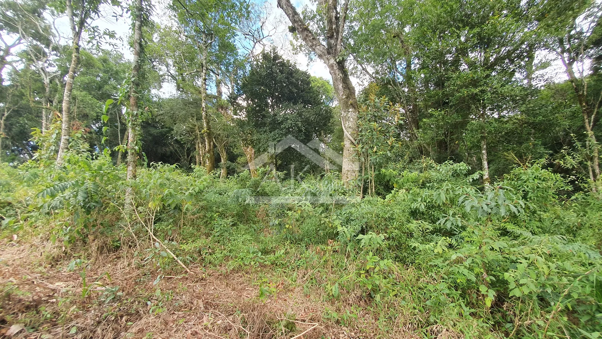 Amplo terreno à venda em Nova Petrópolis, na Serra Gaúcha