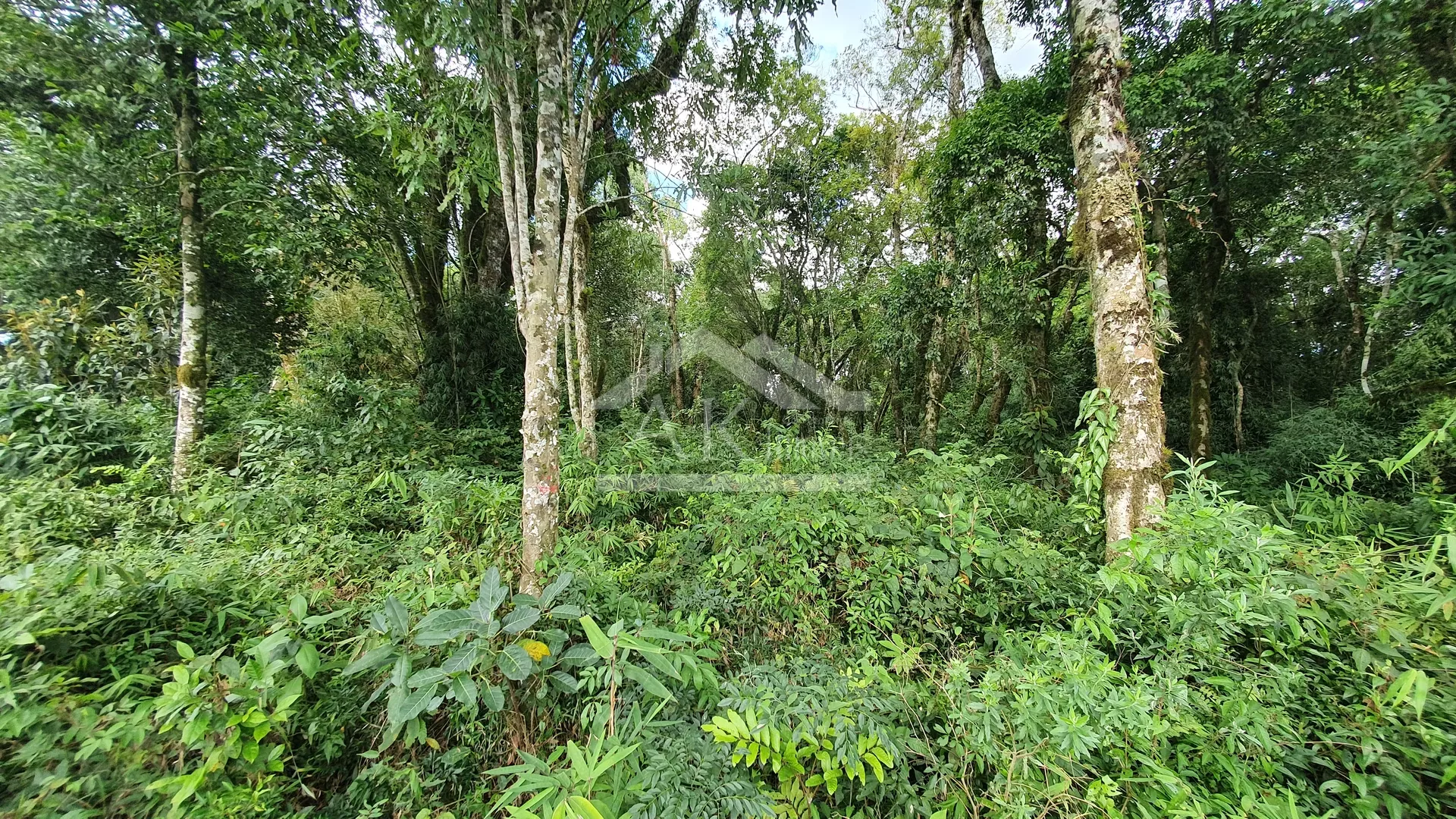 Amplo terreno à venda em Nova Petrópolis, na Serra Gaúcha