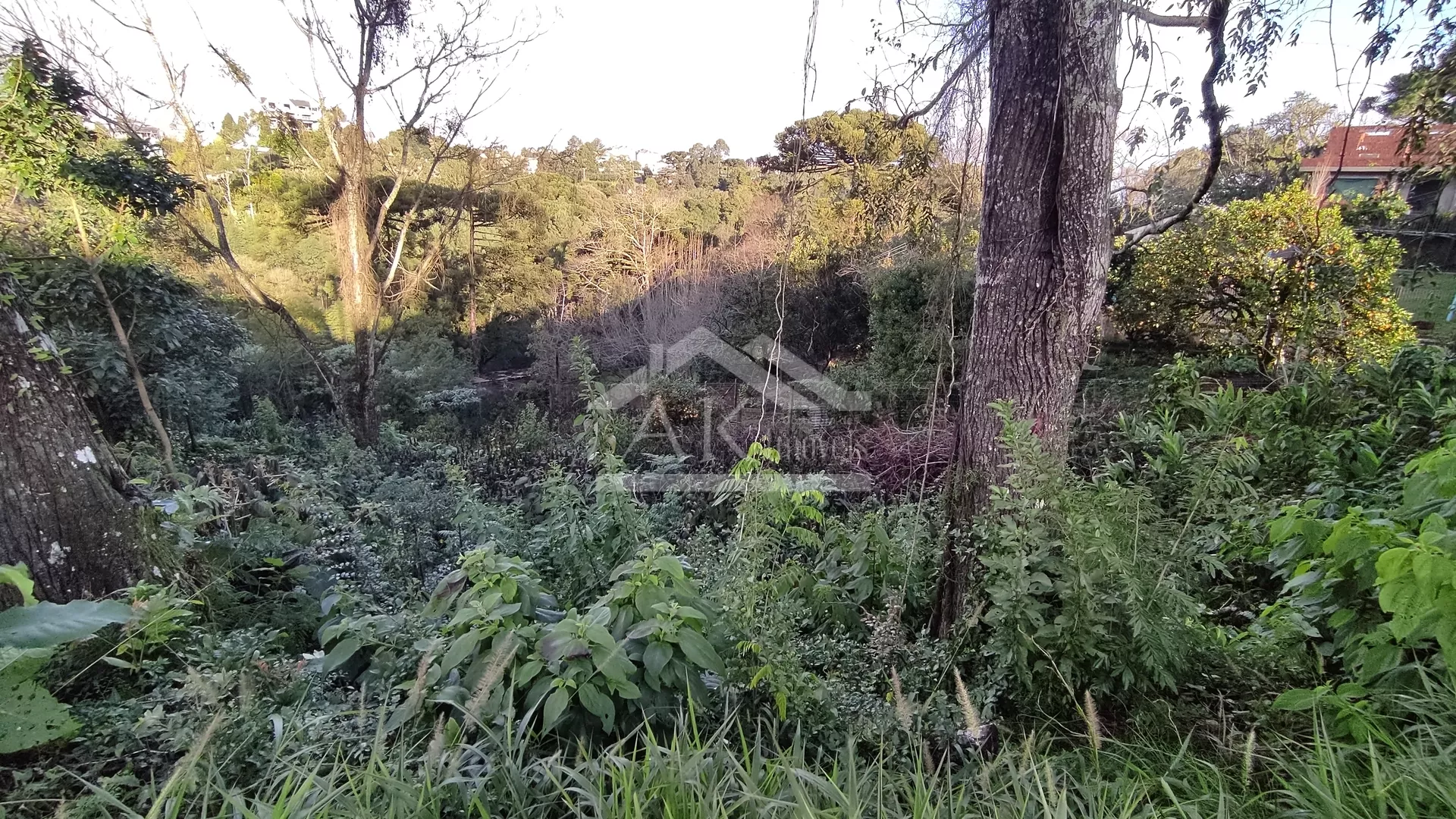 Terreno à venda com frente para a Avenida, na cidade de Nova Petrópolis, na Serra Gaúcha