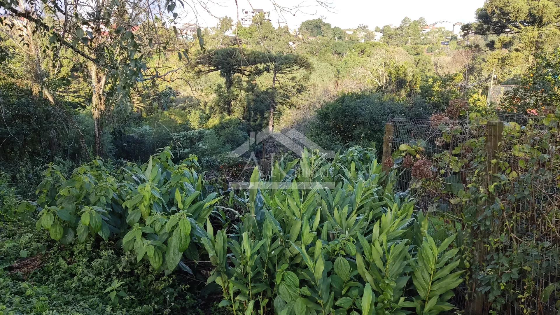 Terreno à venda com frente para a Avenida, na cidade de Nova Petrópolis, na Serra Gaúcha