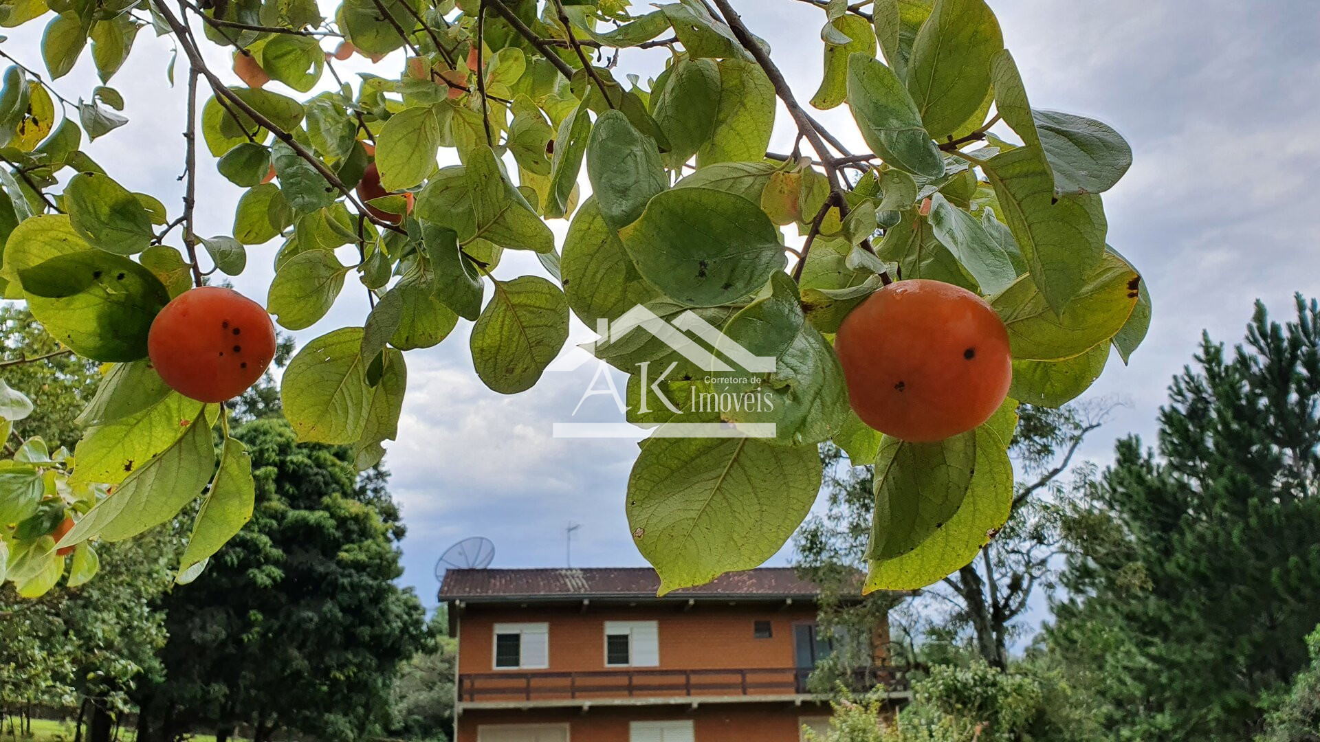 Sítio urbano à venda em Picada Café na Serra Gaúcha