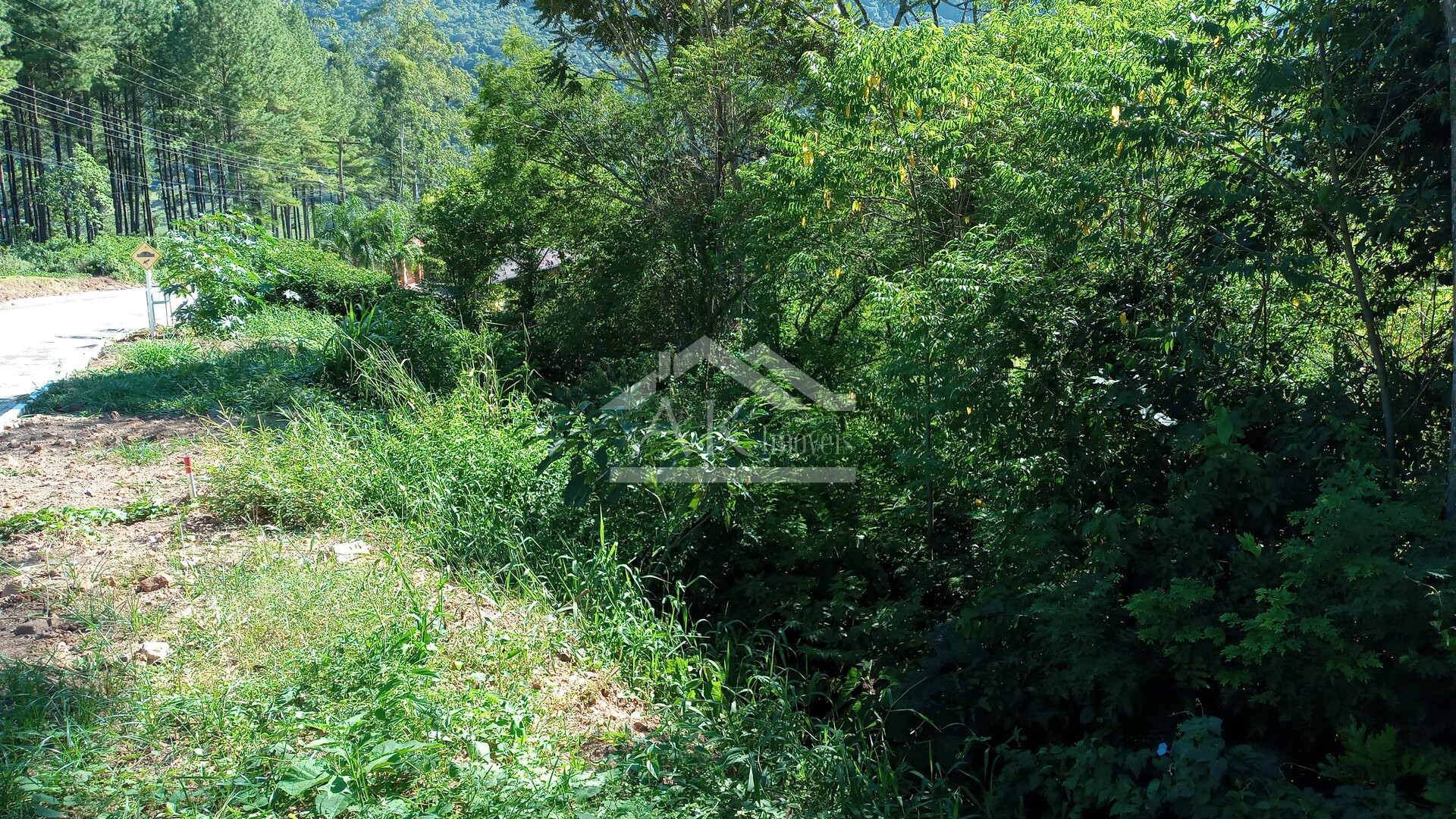 Terrenos com vista à venda em Picada Café na Serra Gaúcha