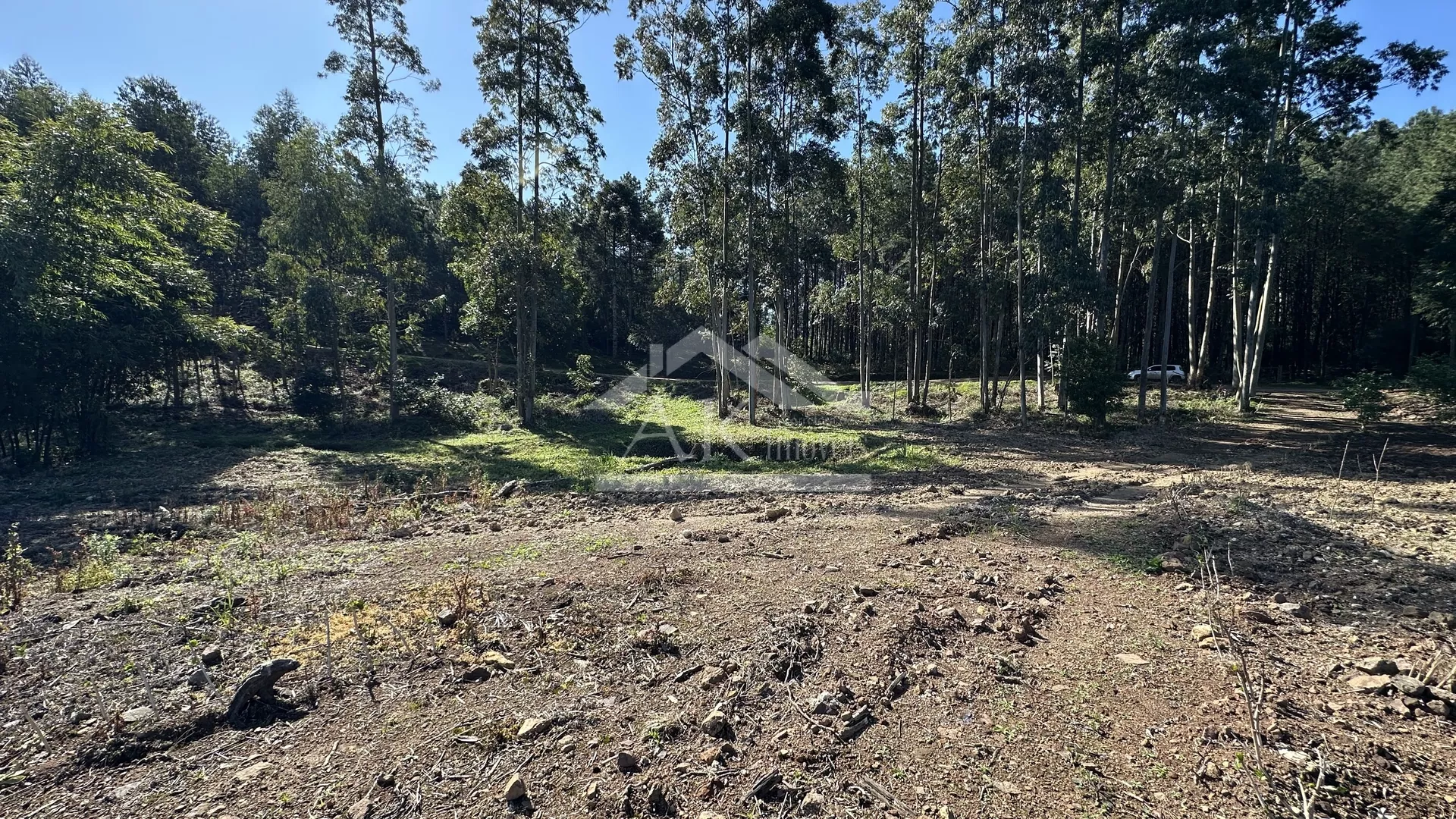 Área de terras com vista em Linha Nova na Serra Gaúcha
