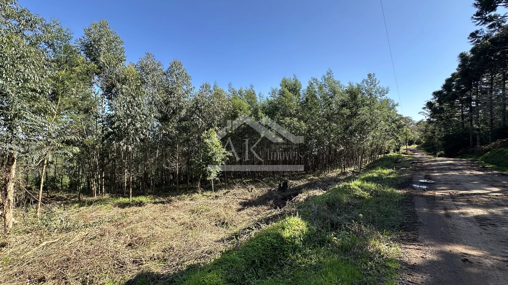 Área de terras com vista em Linha Nova na Serra Gaúcha