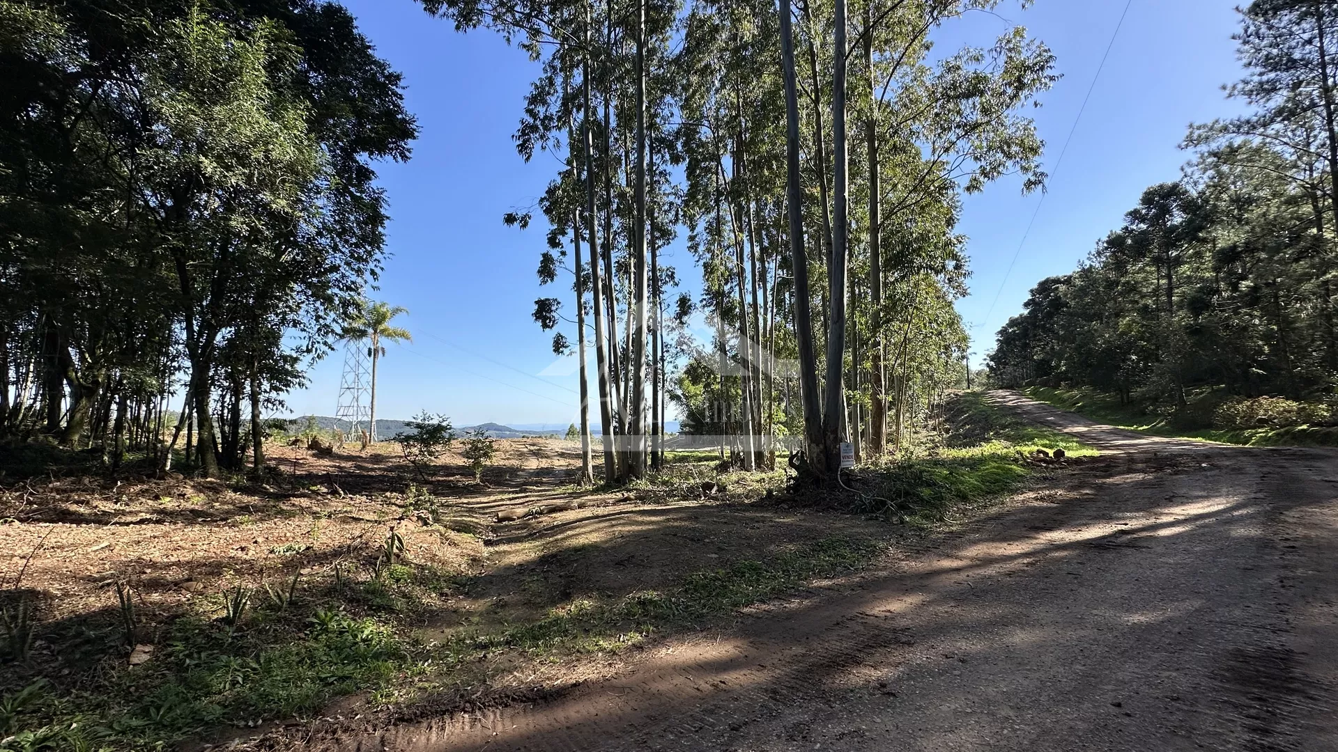 Área de terras com vista em Linha Nova na Serra Gaúcha
