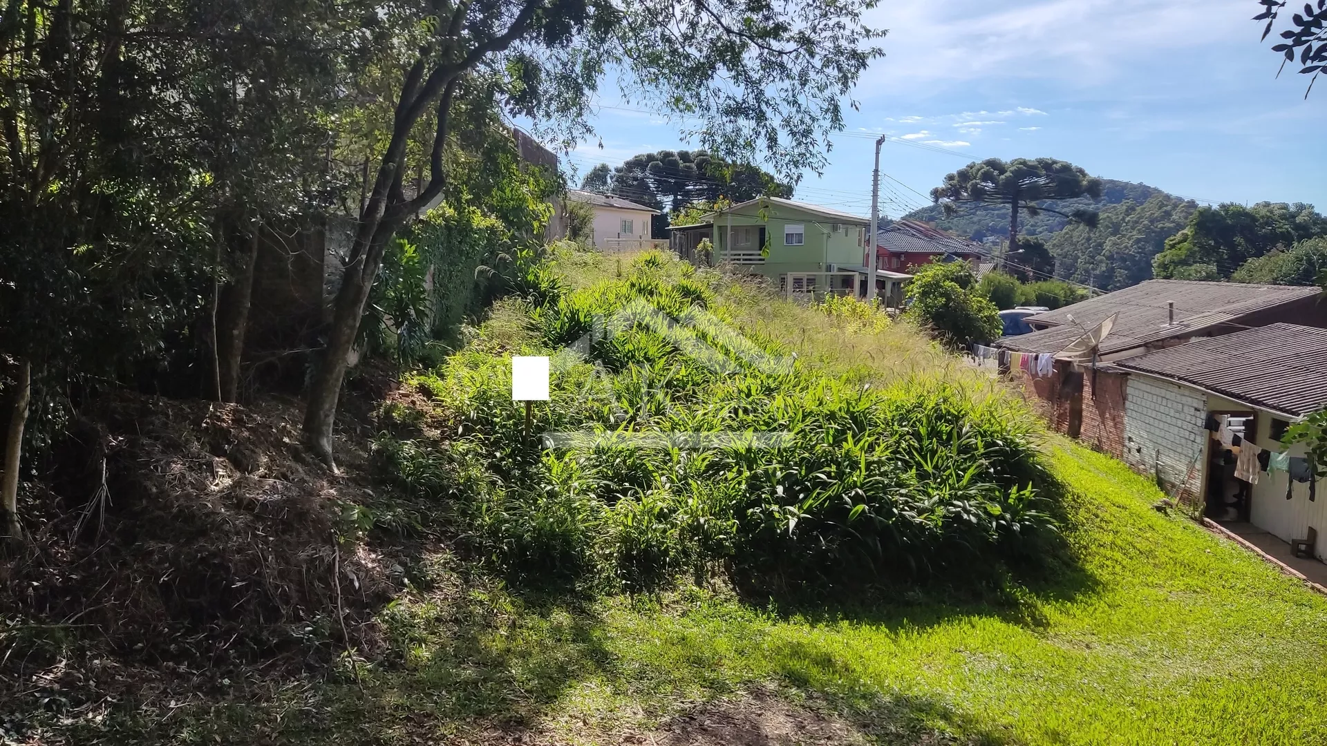 Amplo terreno à venda em Nova Petrópolis, na Serra Gaúcha