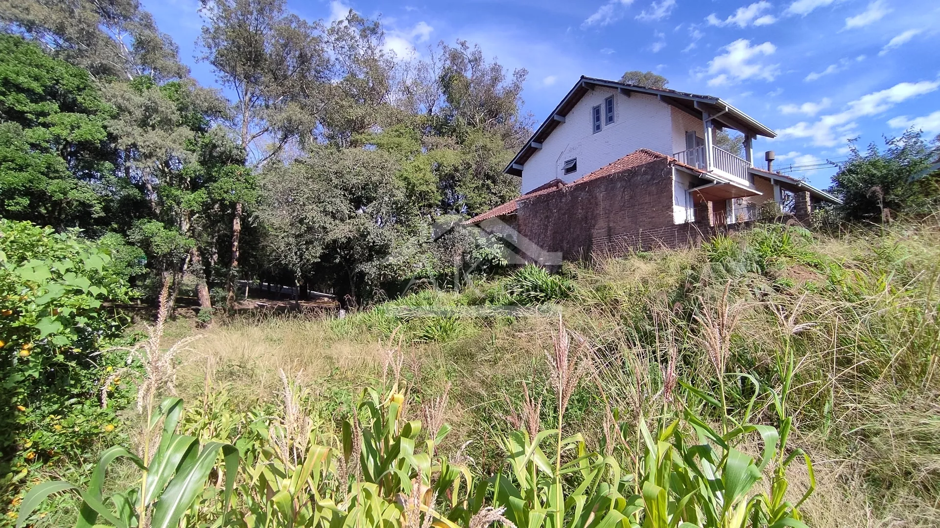Amplo terreno à venda em Nova Petrópolis, na Serra Gaúcha