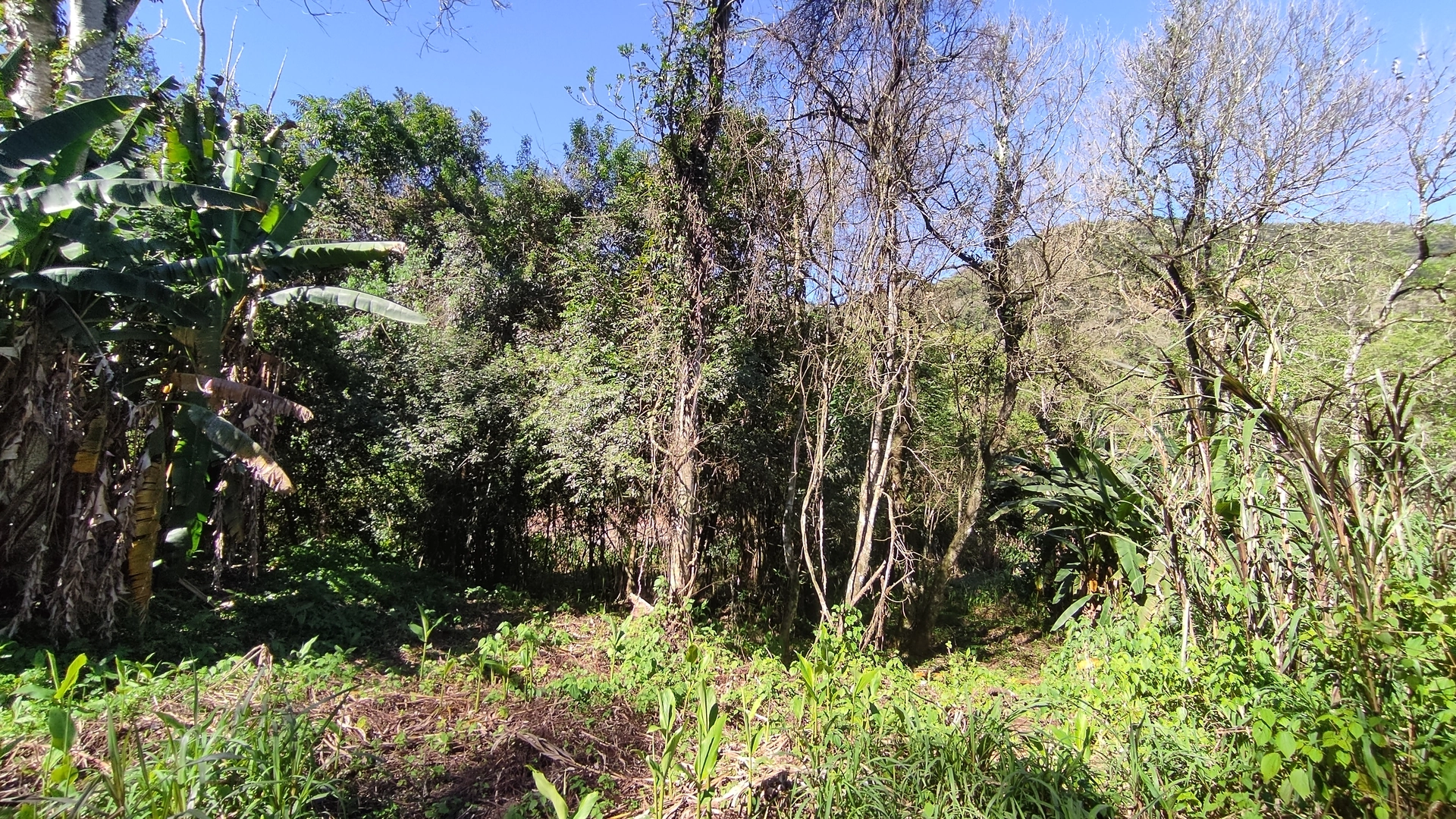 Amplo terreno à venda na cidade de Picada Café, na Serra Gaúcha