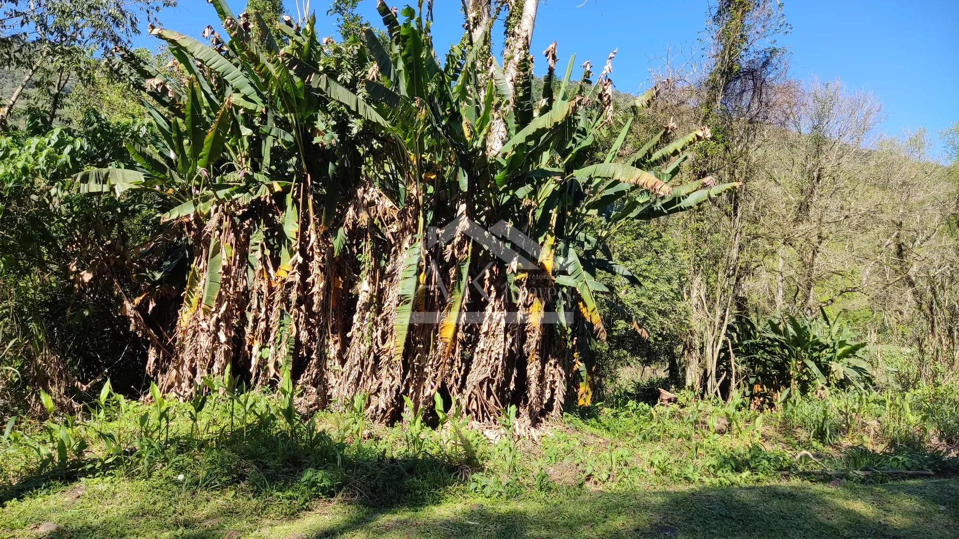 Amplo terreno à venda na cidade de Picada Café, na Serra Gaúcha