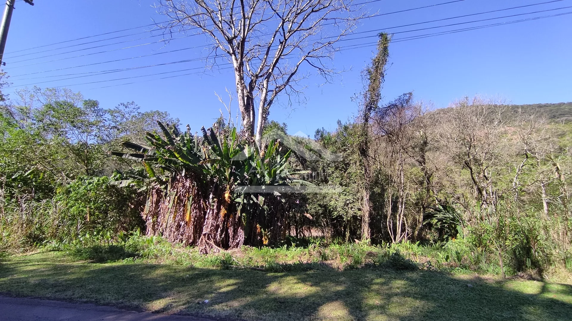 Amplo terreno à venda na cidade de Picada Café, na Serra Gaúcha