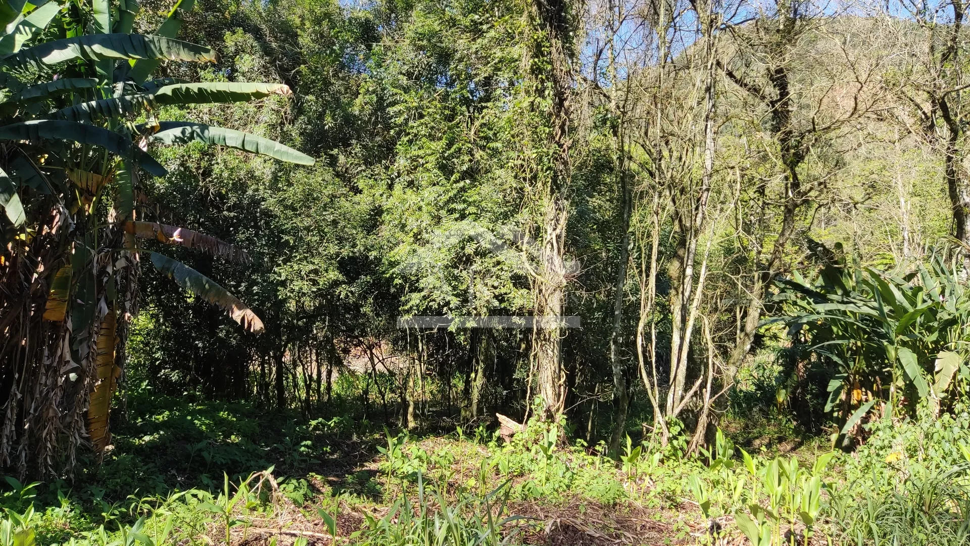 Amplo terreno à venda na cidade de Picada Café, na Serra Gaúcha