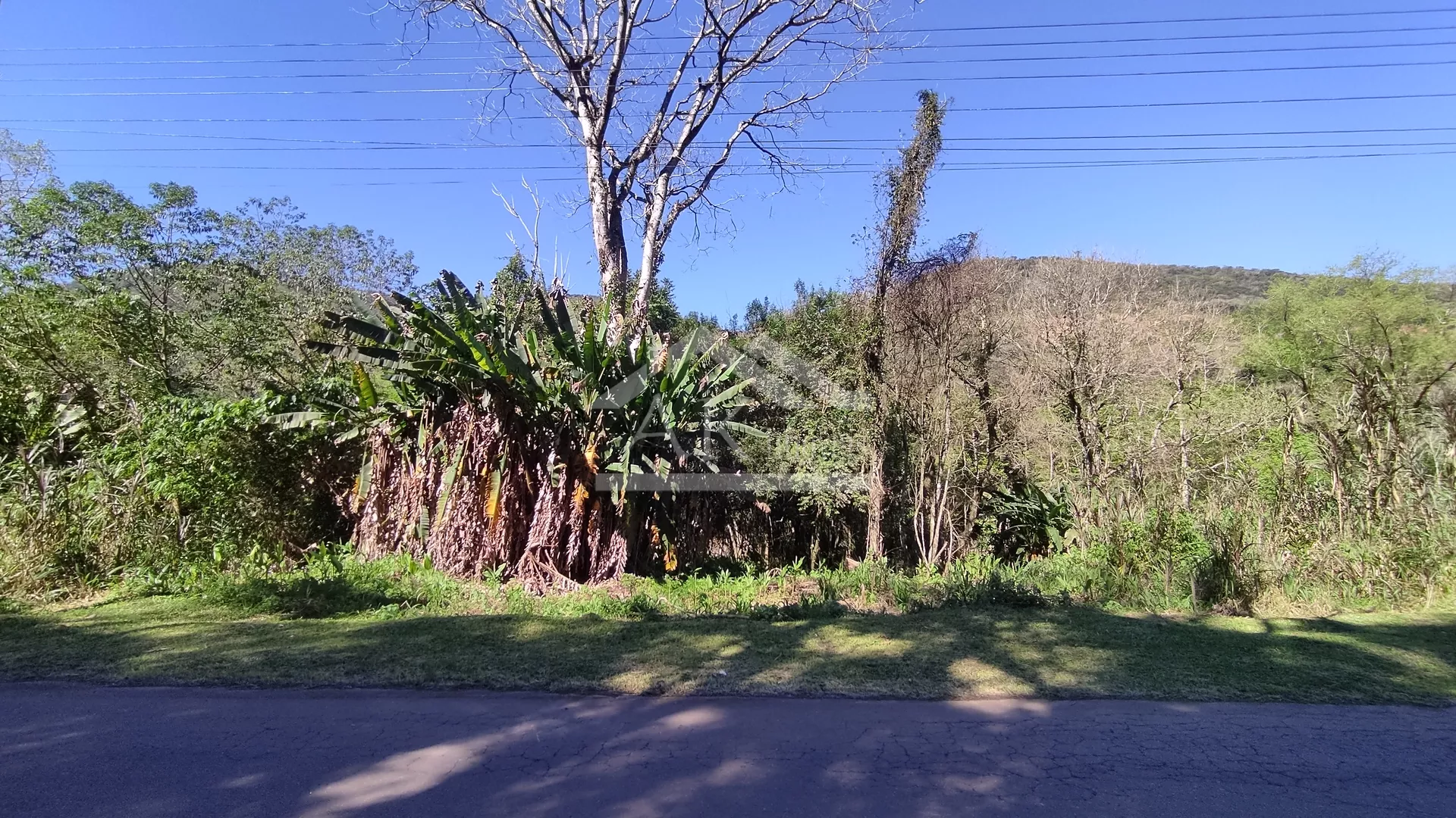 Amplo terreno à venda na cidade de Picada Café, na Serra Gaúcha