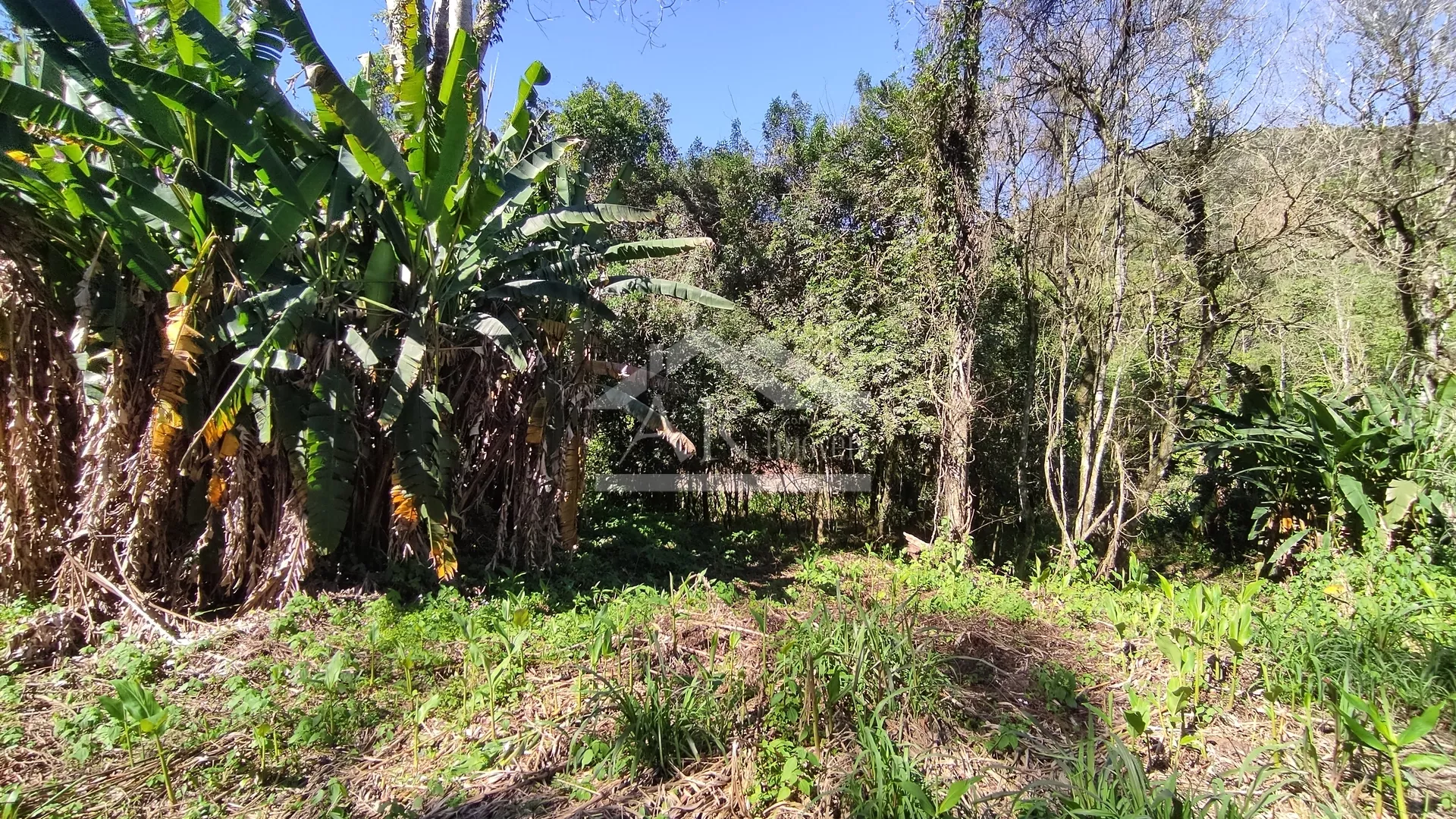 Amplo terreno à venda na cidade de Picada Café, na Serra Gaúcha