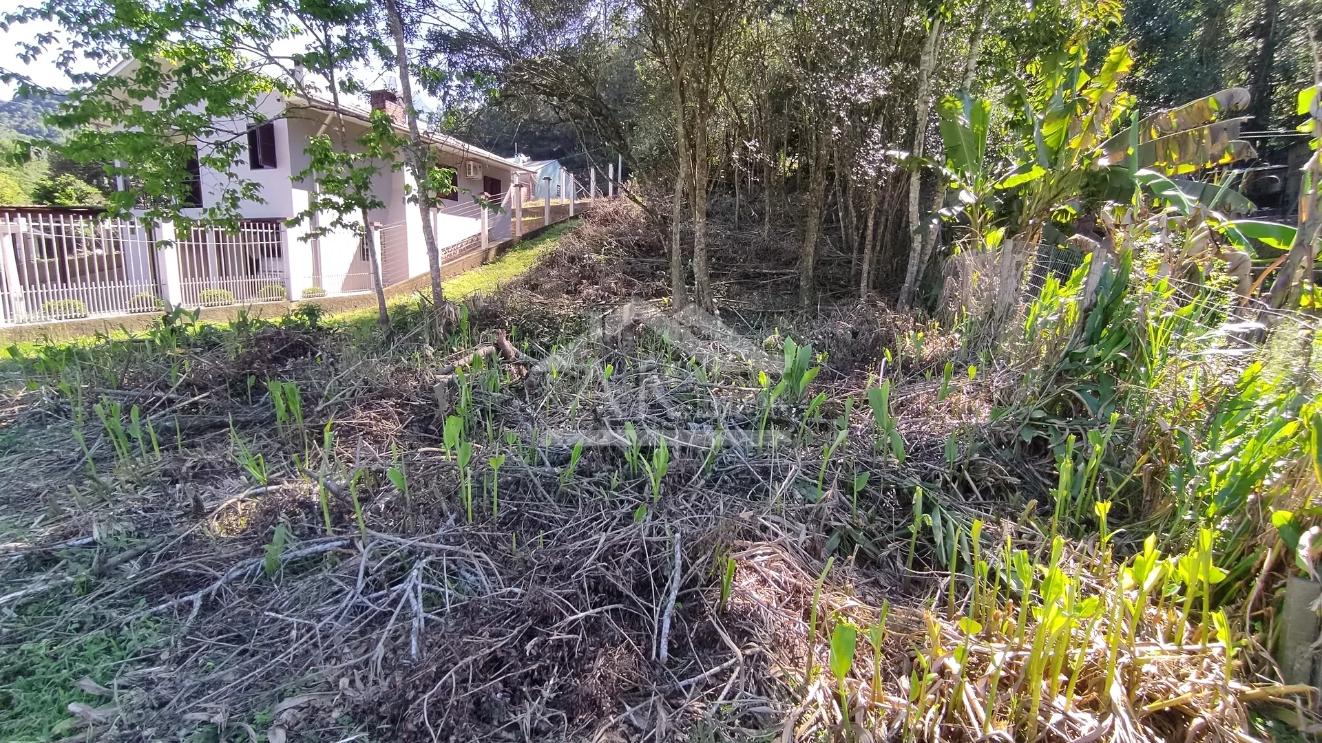 Amplo terreno à venda na cidade de Picada Café, na Serra Gaúcha