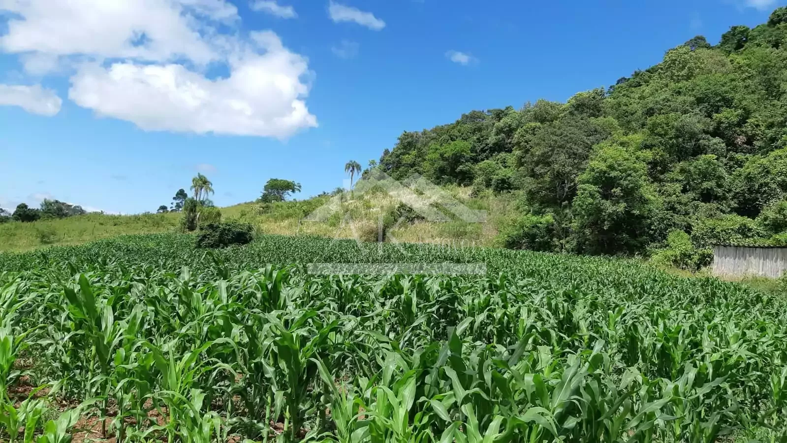 Área de terra com vista à venda em Linha Nova na Serra Gaúcha