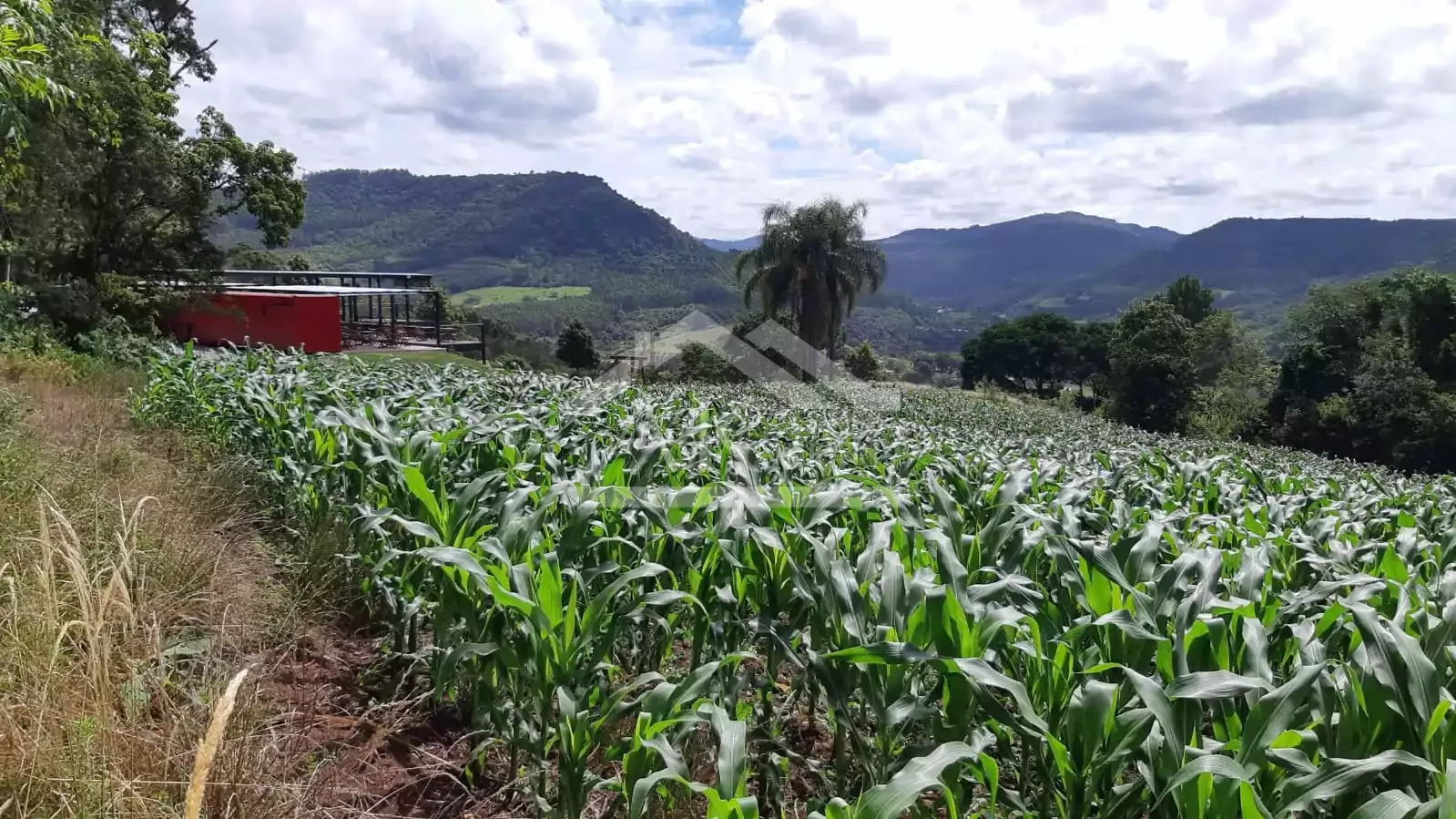 Área de terra com vista à venda em Linha Nova na Serra Gaúcha