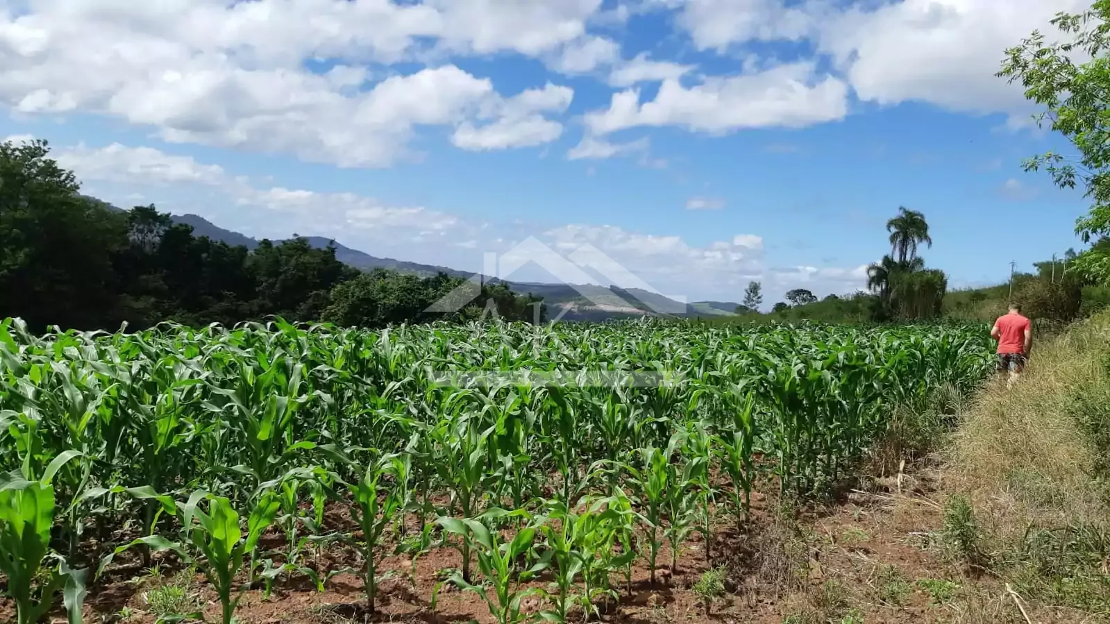 Área de terra com vista à venda em Linha Nova na Serra Gaúcha