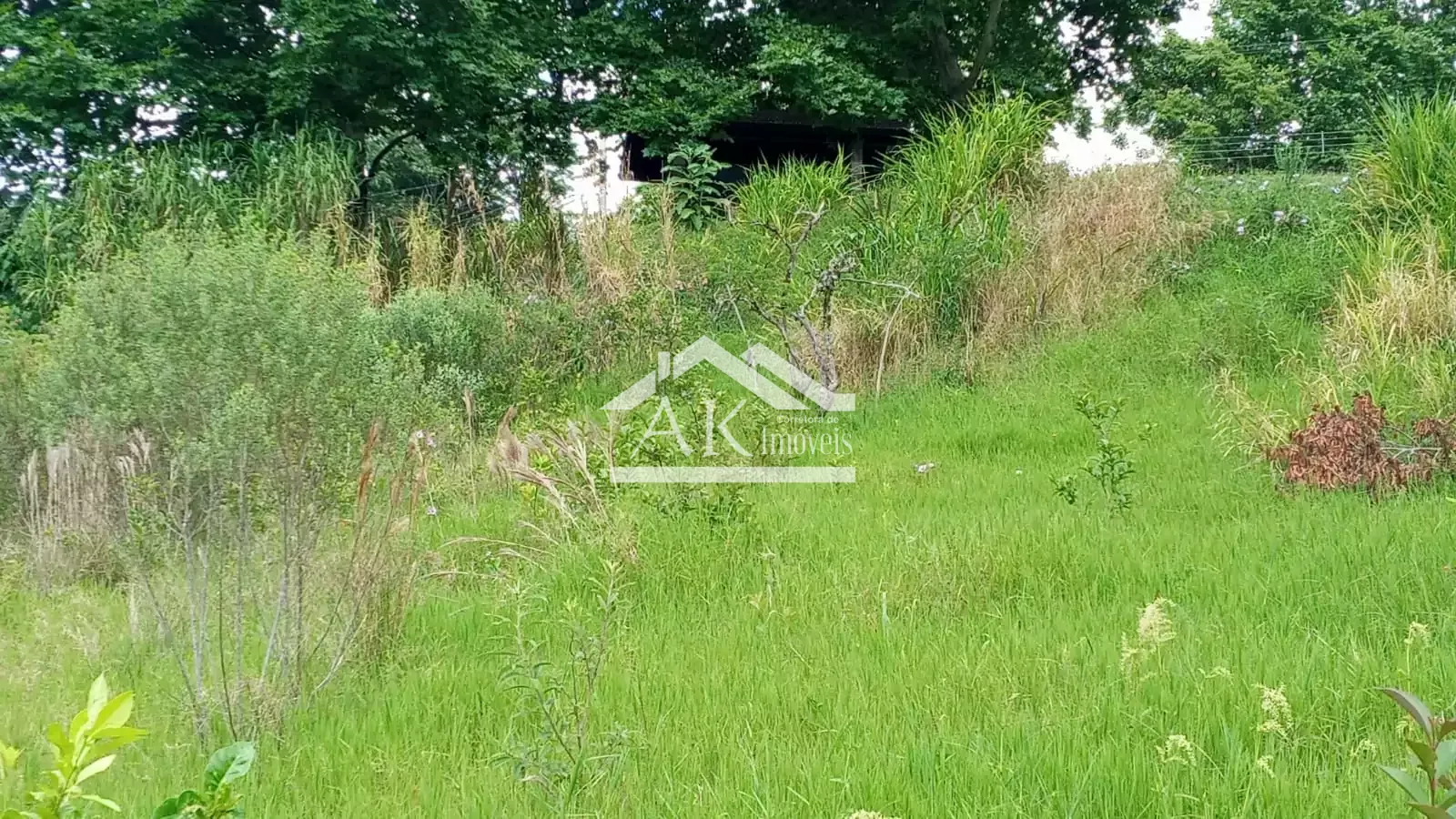 Amplo terreno com vista, às margens da BR 116, à venda em Picada Café, na Serra Gaúcha