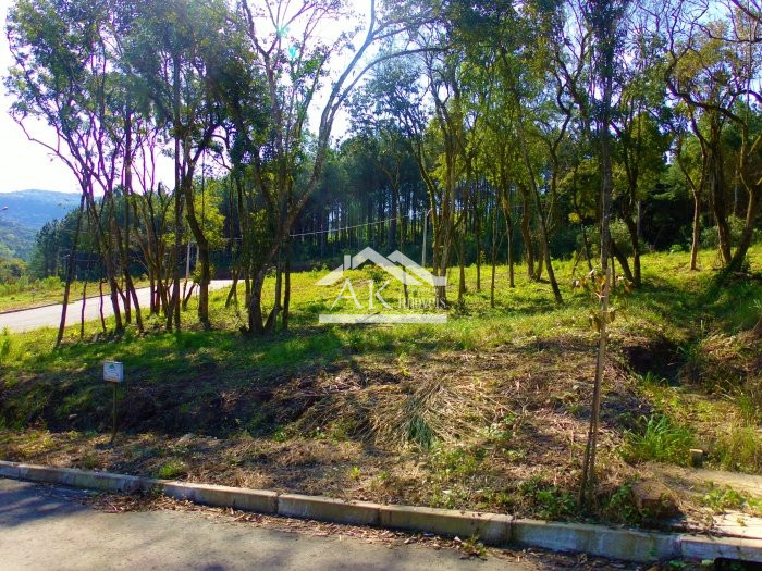 Terreno arborizado a venda em loteamento central de Picada Café, na Serra Gaúcha
