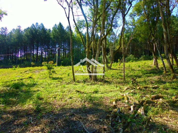 Terreno arborizado a venda em loteamento central de Picada Café, na Serra Gaúcha