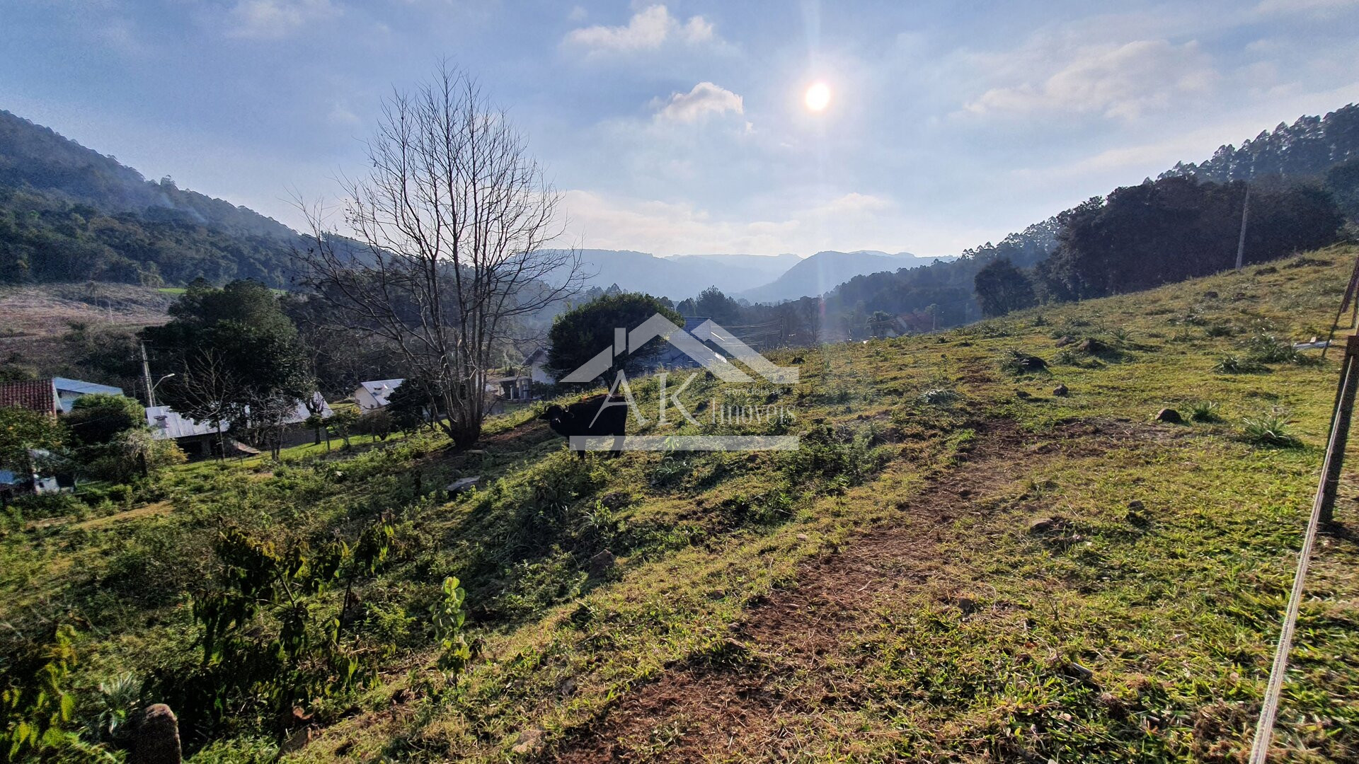 Terreno em declive e arborizado a venda em Picada Café, na Serra Gaúcha