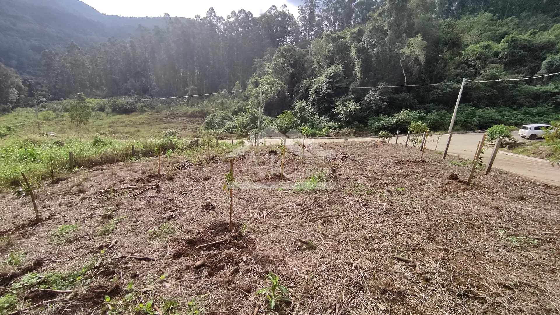 Imagens do imóveis Terreno de esquina à venda em Picada Café na Serra Gaúcha