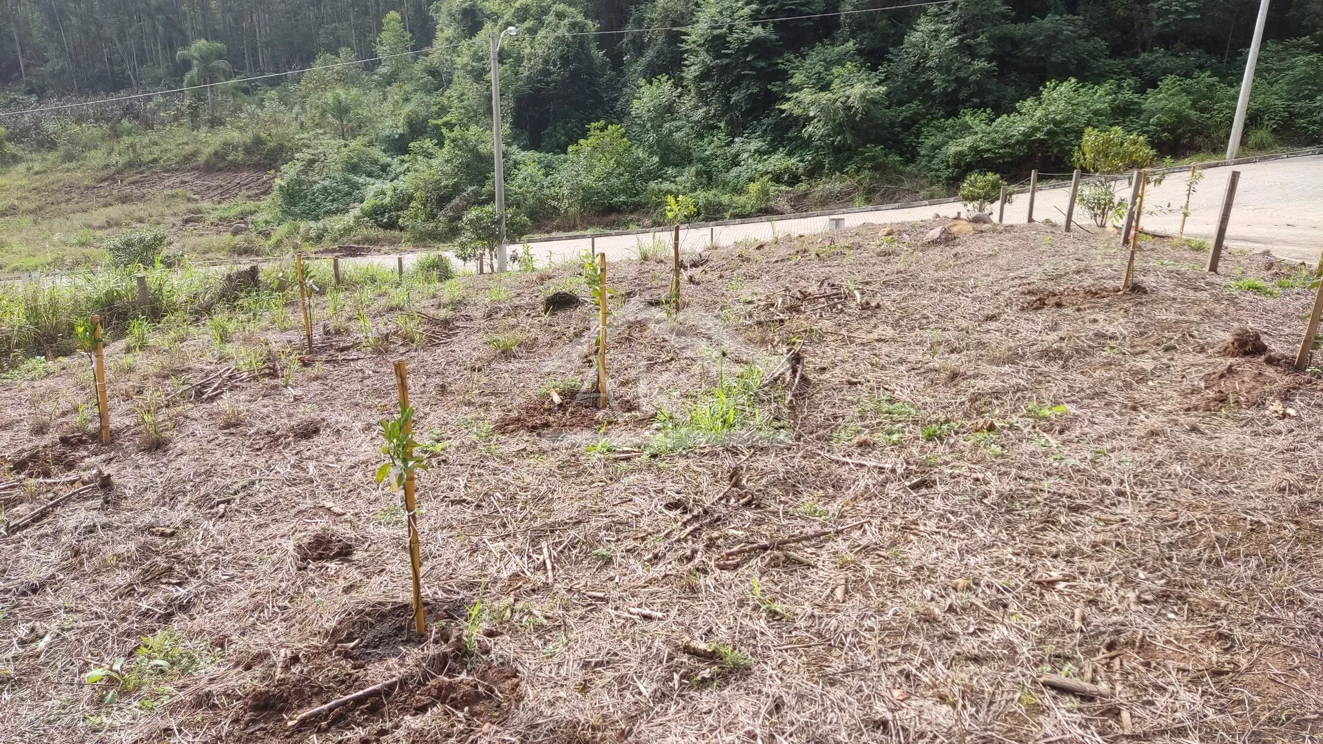 Imagens do imóveis Terreno de esquina à venda em Picada Café na Serra Gaúcha