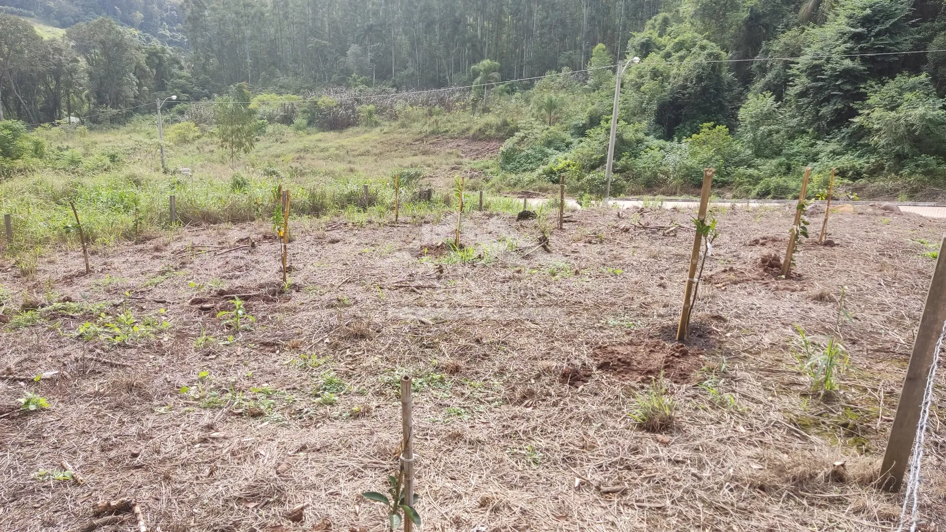 Imagens do imóveis Terreno de esquina à venda em Picada Café na Serra Gaúcha