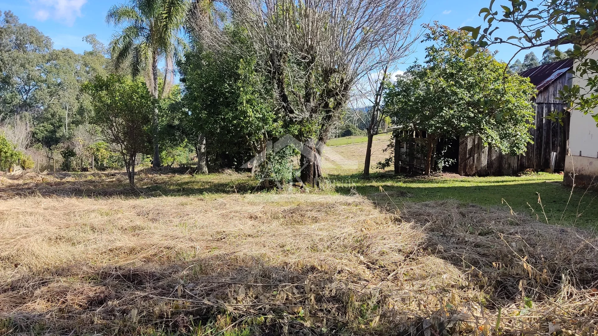 Terrenos residenciais à venda em Presidente Lucena, na Serra Gaúcha