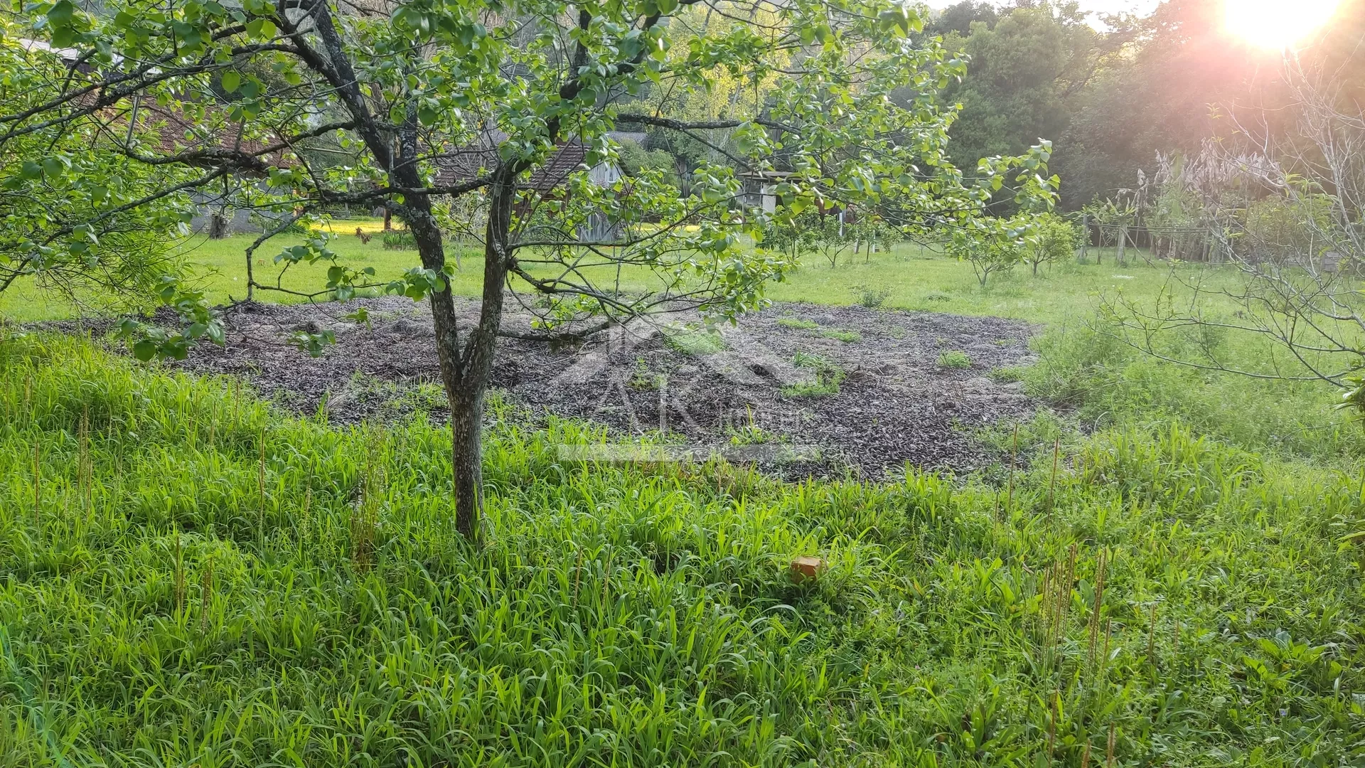 Terreno amplo à venda no centro Picada Café, na Serra Gaúcha
