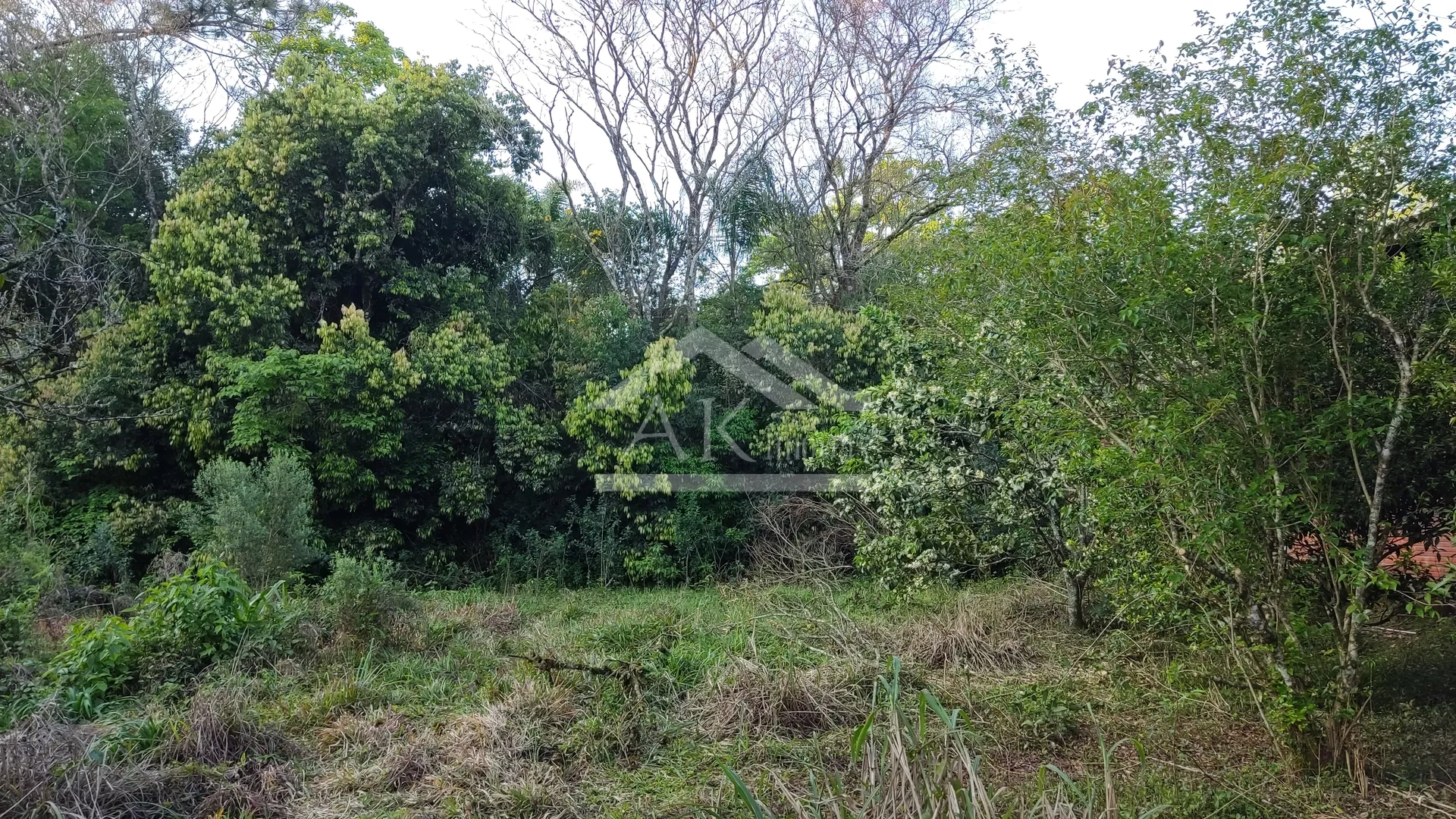 Terreno amplo à venda no centro Picada Café, na Serra Gaúcha