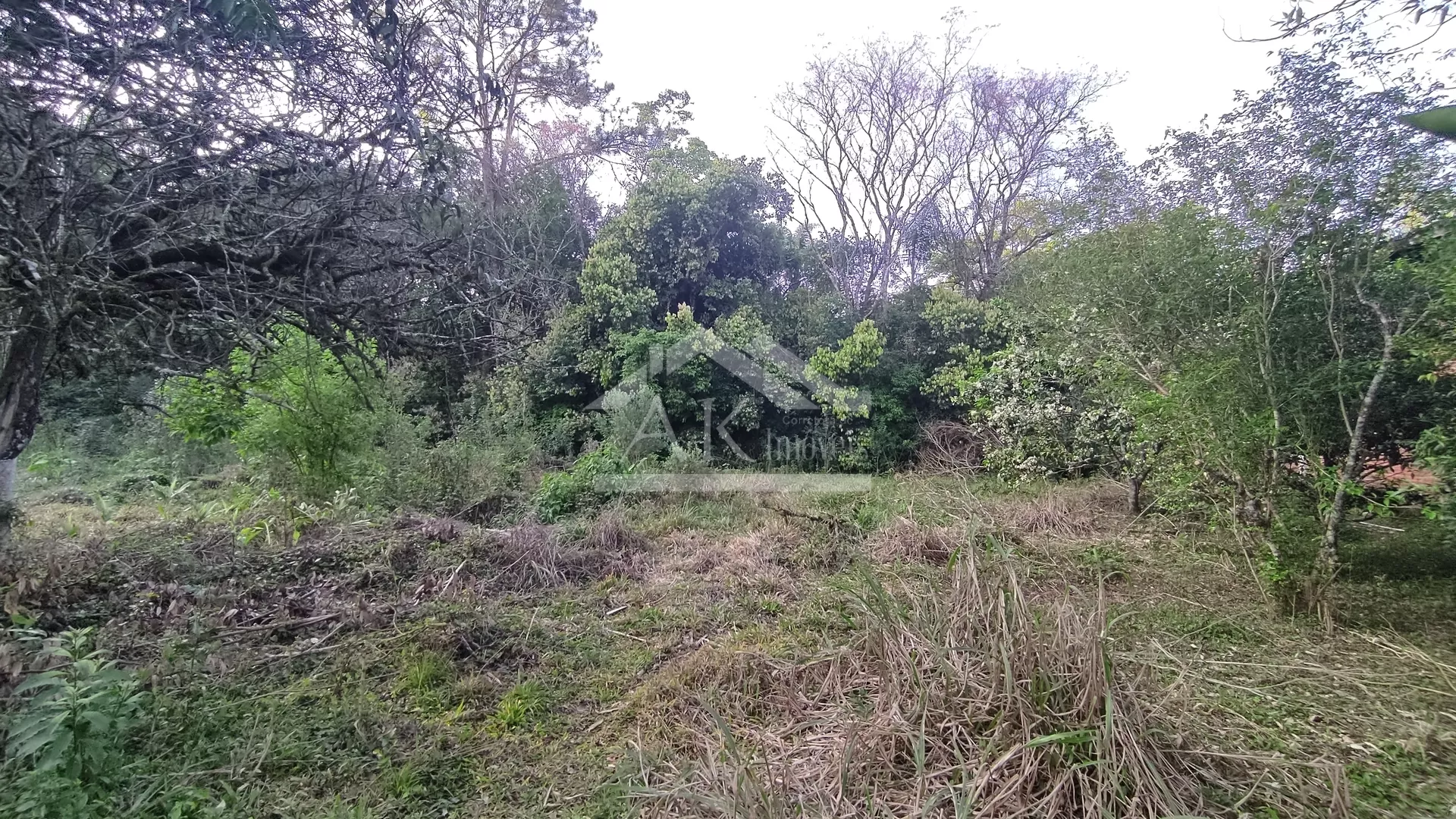 Terreno amplo à venda no centro Picada Café, na Serra Gaúcha