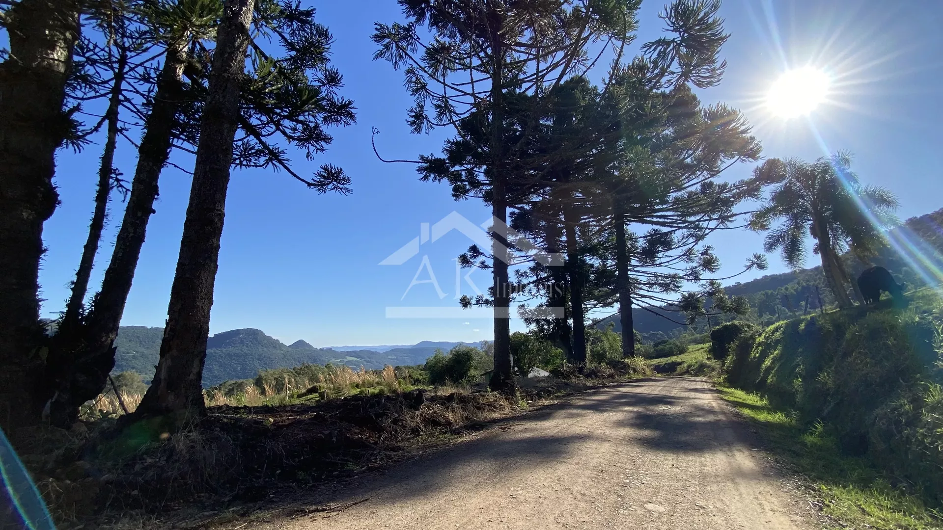 Área de terra com vista à venda em Nova Petrópolis, na Serra Gaúcha!