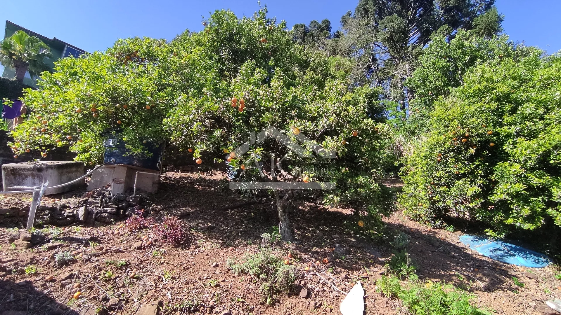Casa com dois quartos à venda, em Nova Petrópolis, na Serra Gaúcha