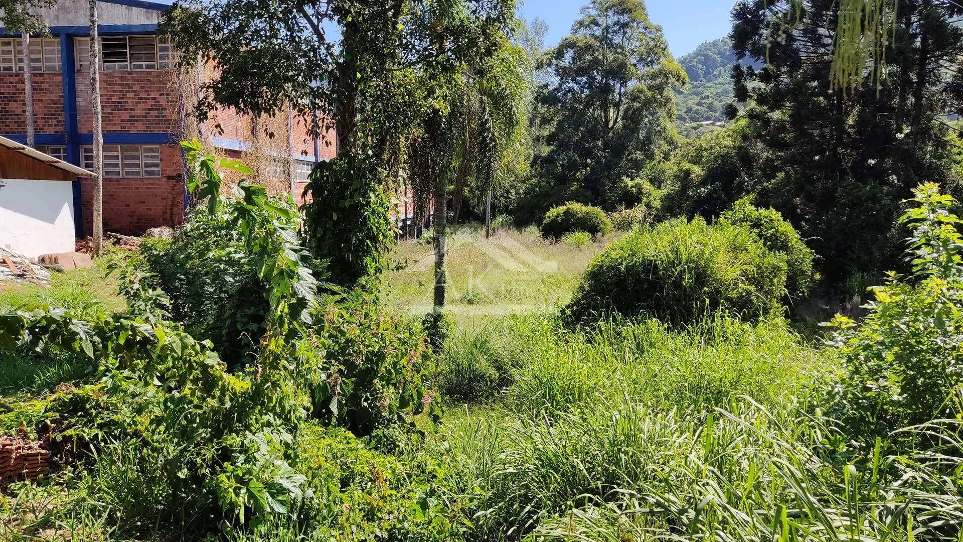 Amplo terreno às margens da BR 116 em Picada Café na Serra Gaúcha