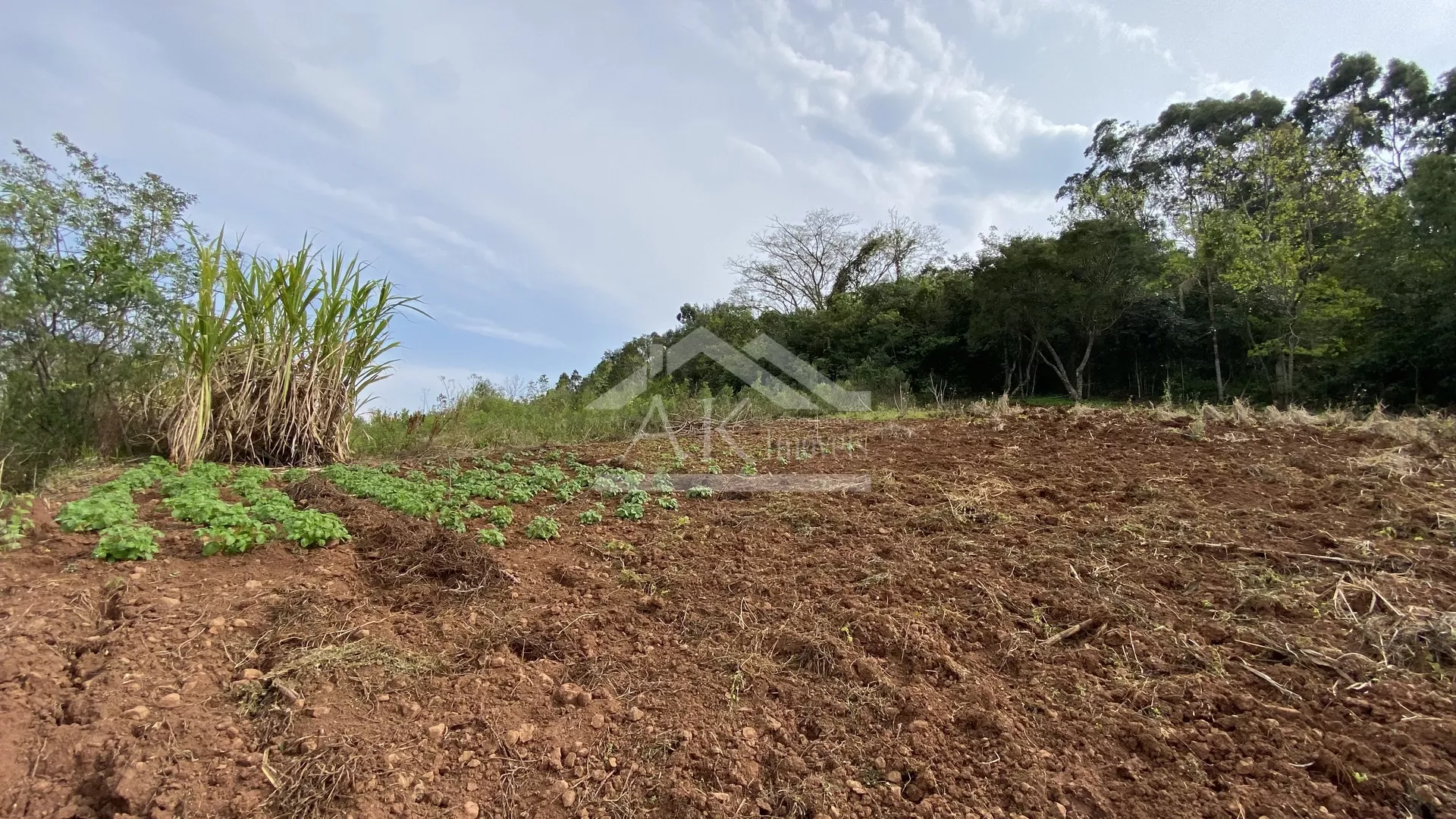 Terrenos com vista cinematográfica à venda em Linha Nova - RS!