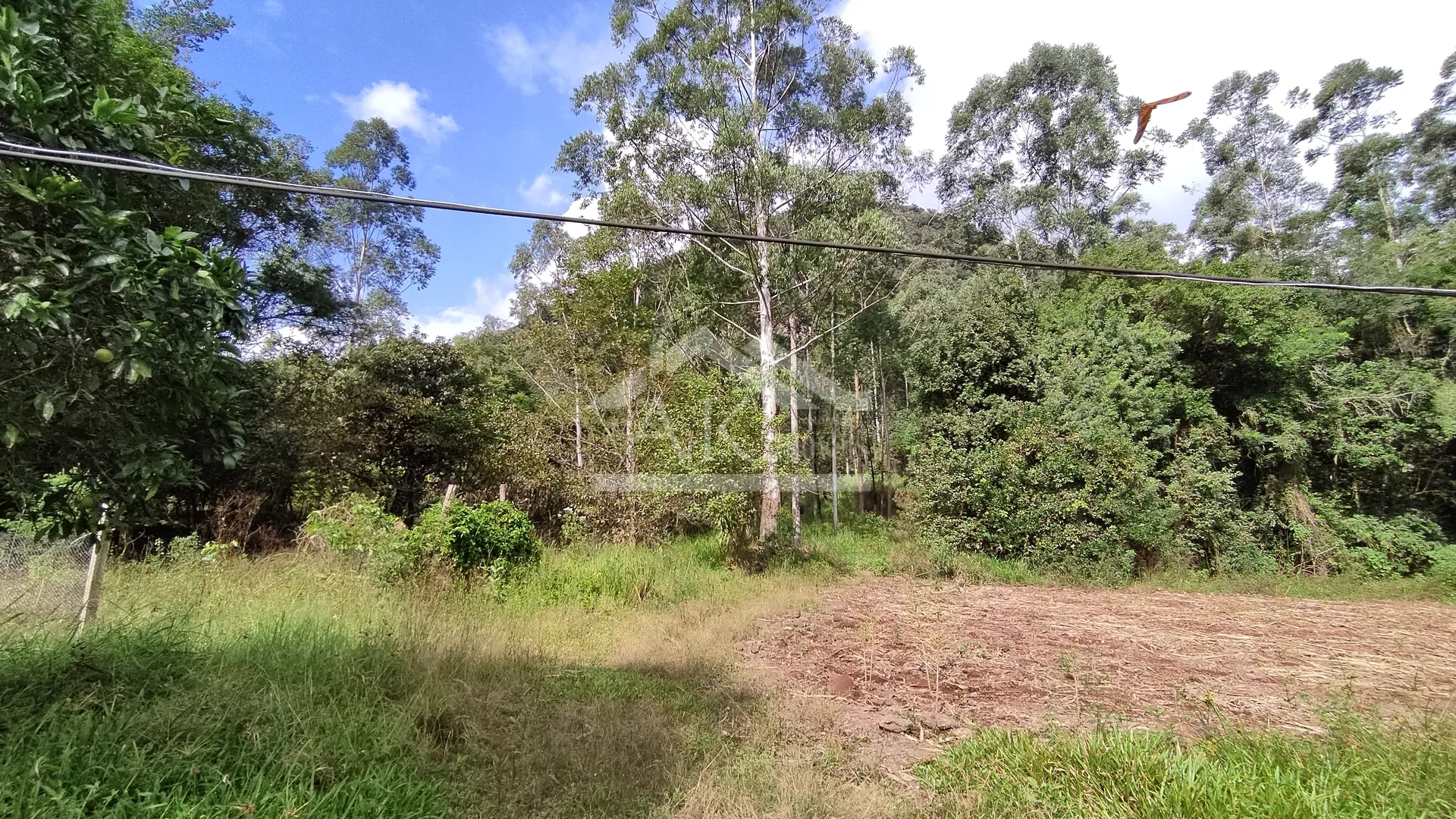 Sítio com açude à venda em Picada Café na Serra Gaúcha