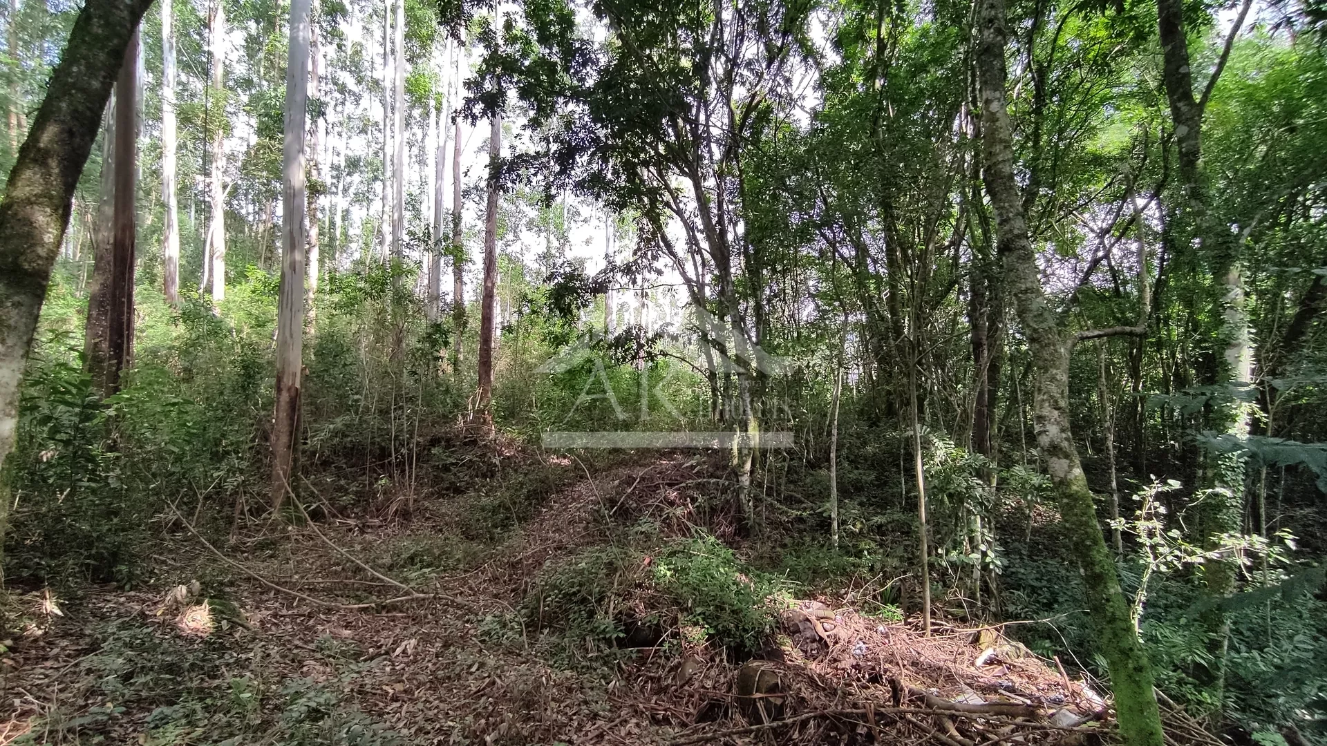 Sítio com açude à venda em Picada Café na Serra Gaúcha