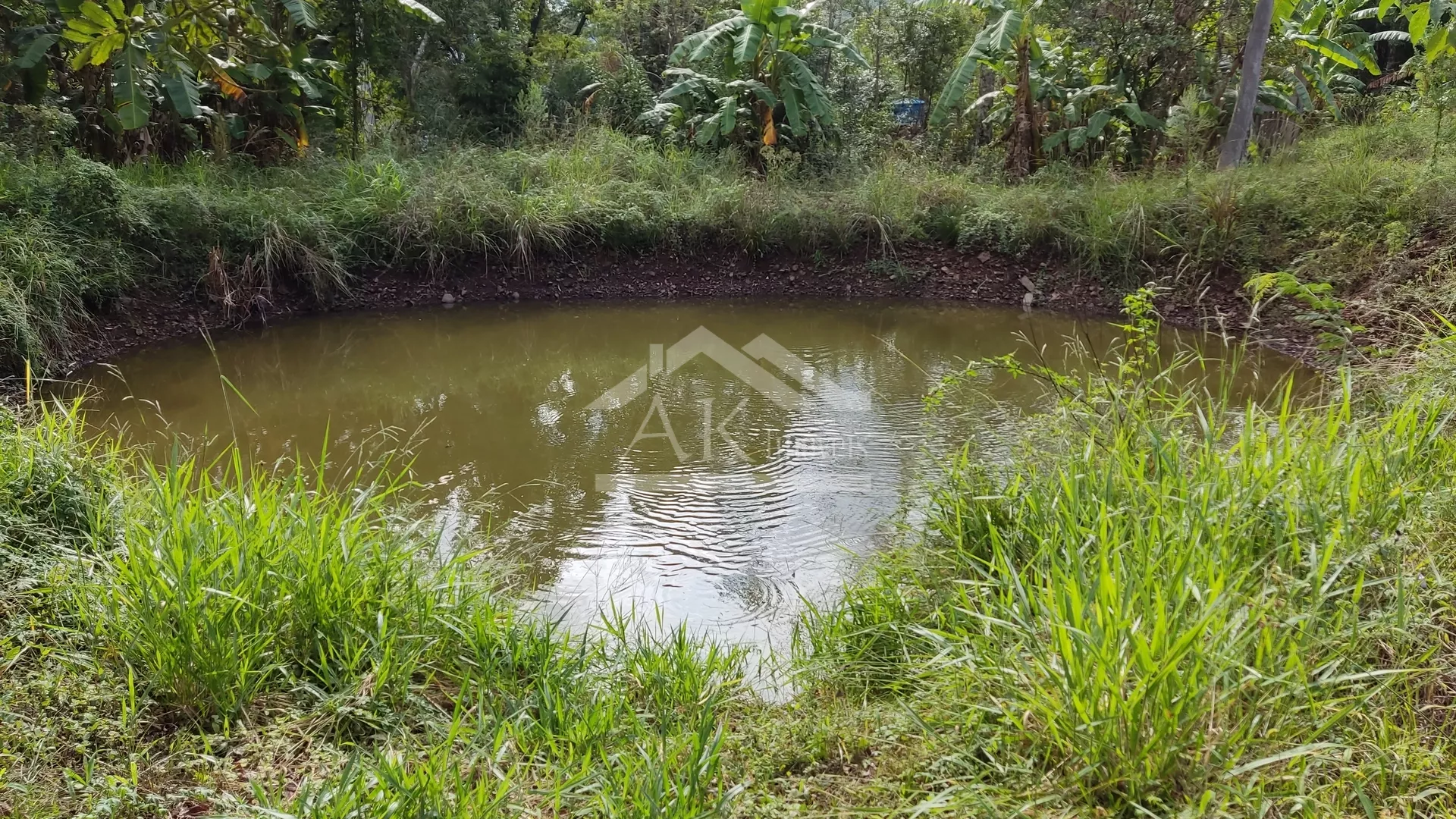 Sítio com açude à venda em Picada Café na Serra Gaúcha