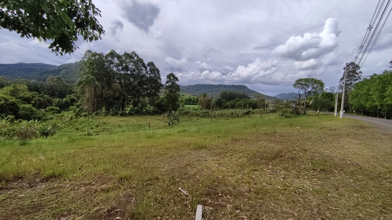Terrenos com potencial comercial a venda em Picada Café, na Serra Gaúcha