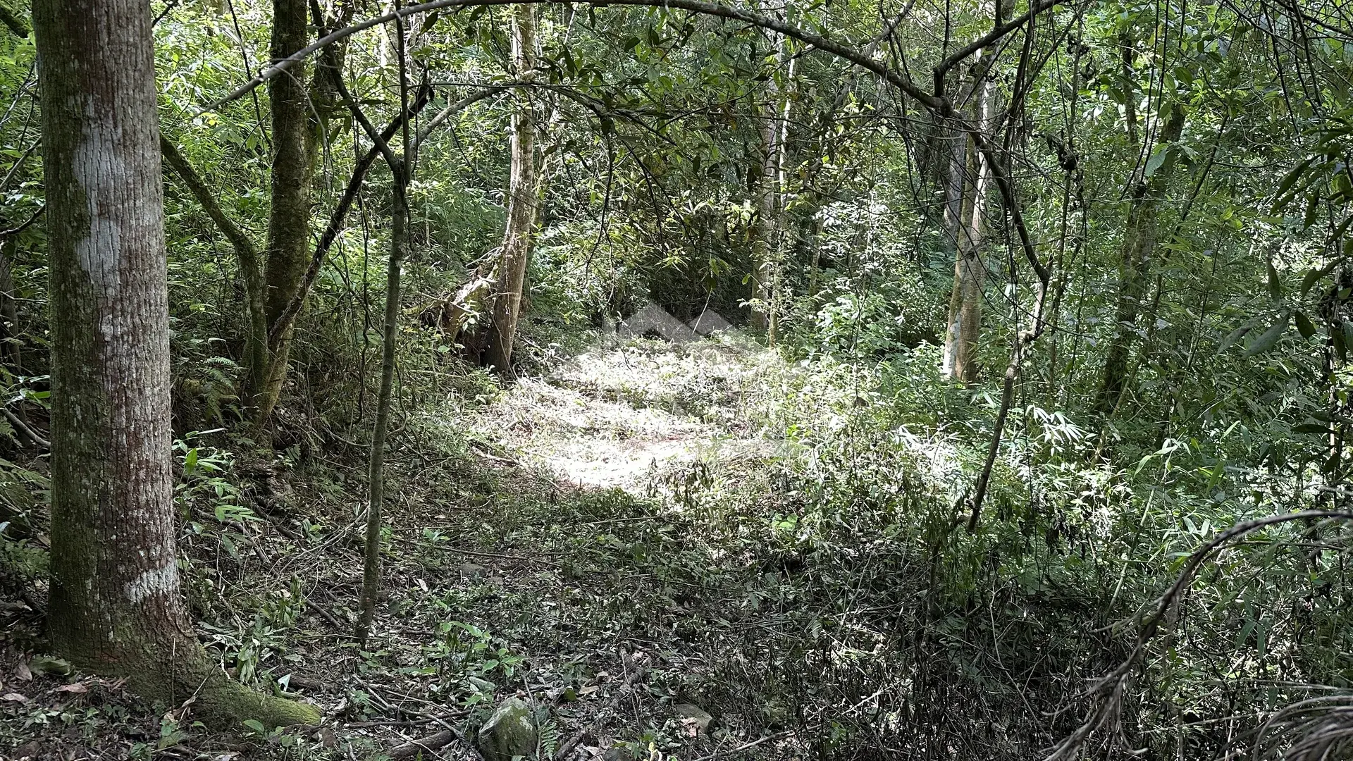 Área de terra com riacho à venda em Picada Café na Serra Gaúcha
