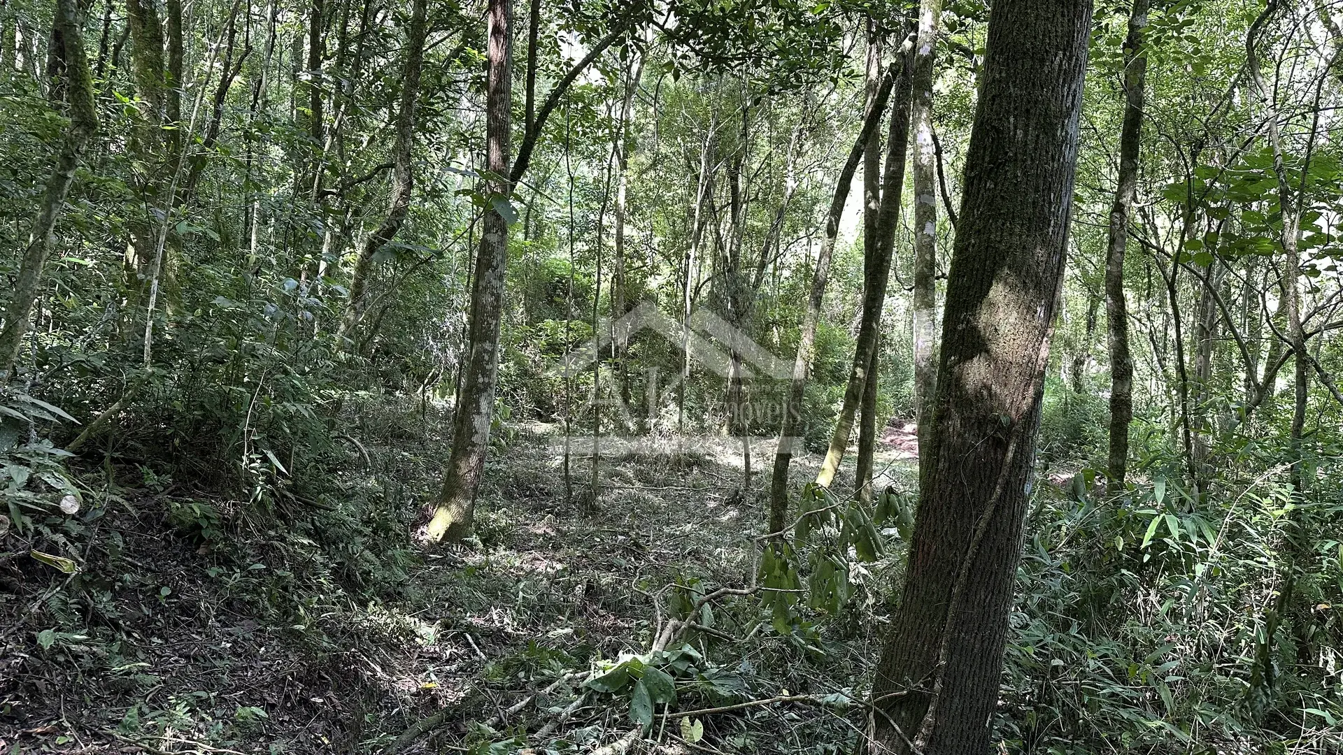 Área de terra com riacho à venda em Picada Café na Serra Gaúcha