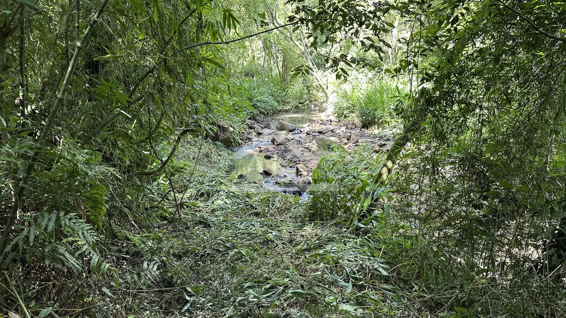 Área de terra com riacho à venda em Picada Café na Serra Gaúcha