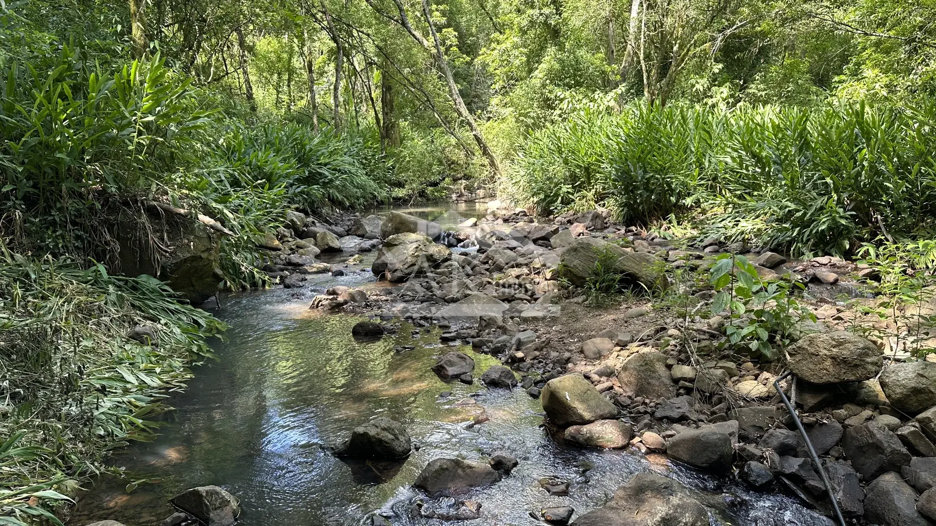 Área de terra com riacho à venda em Picada Café na Serra Gaúcha