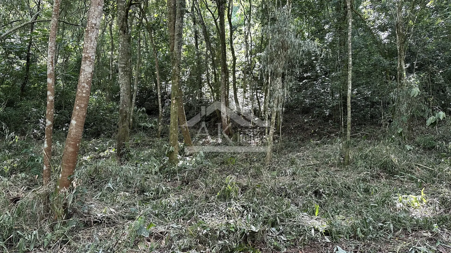 Área de terra com riacho à venda em Picada Café na Serra Gaúcha